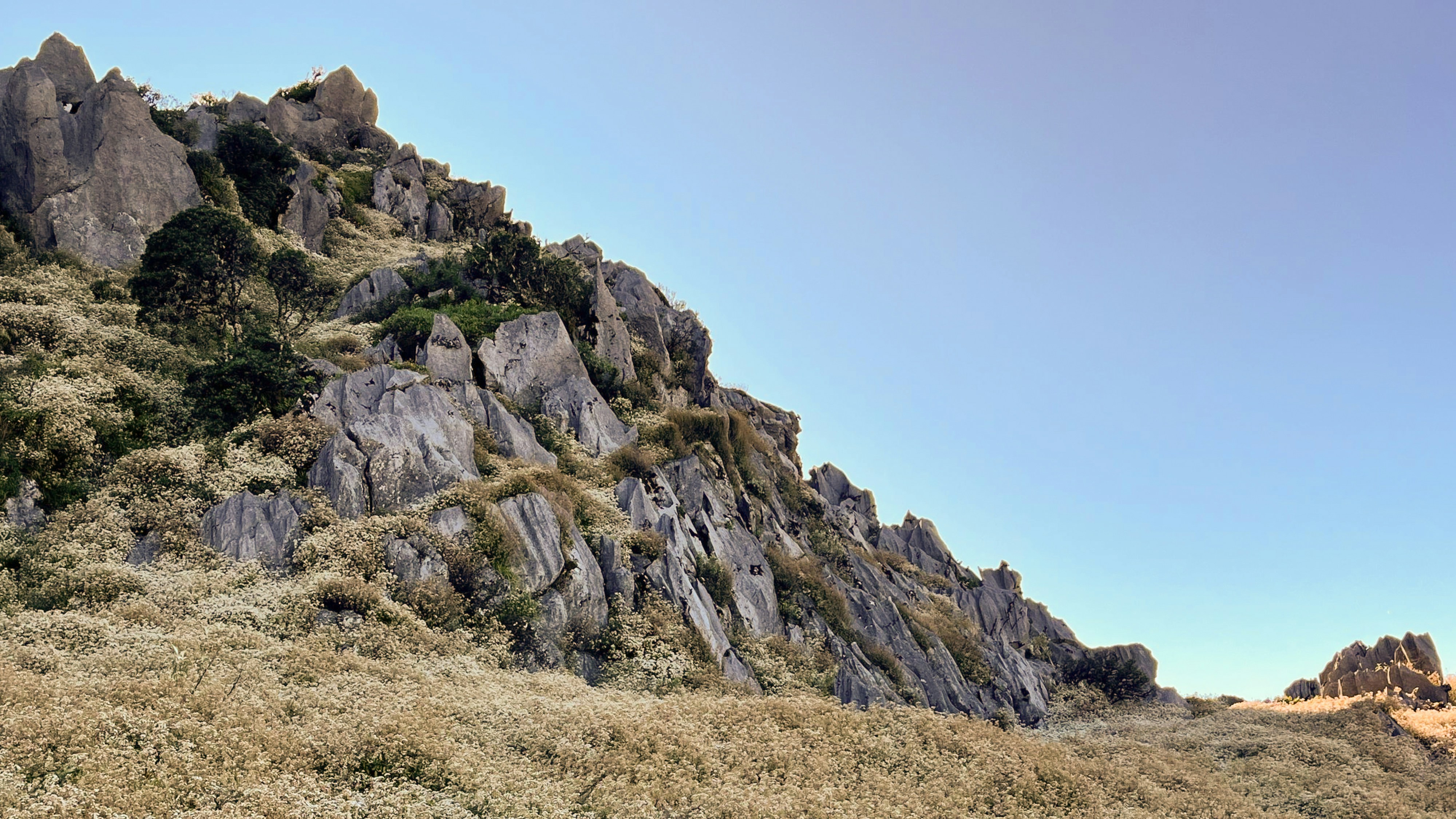 Photo by jaimegusmao