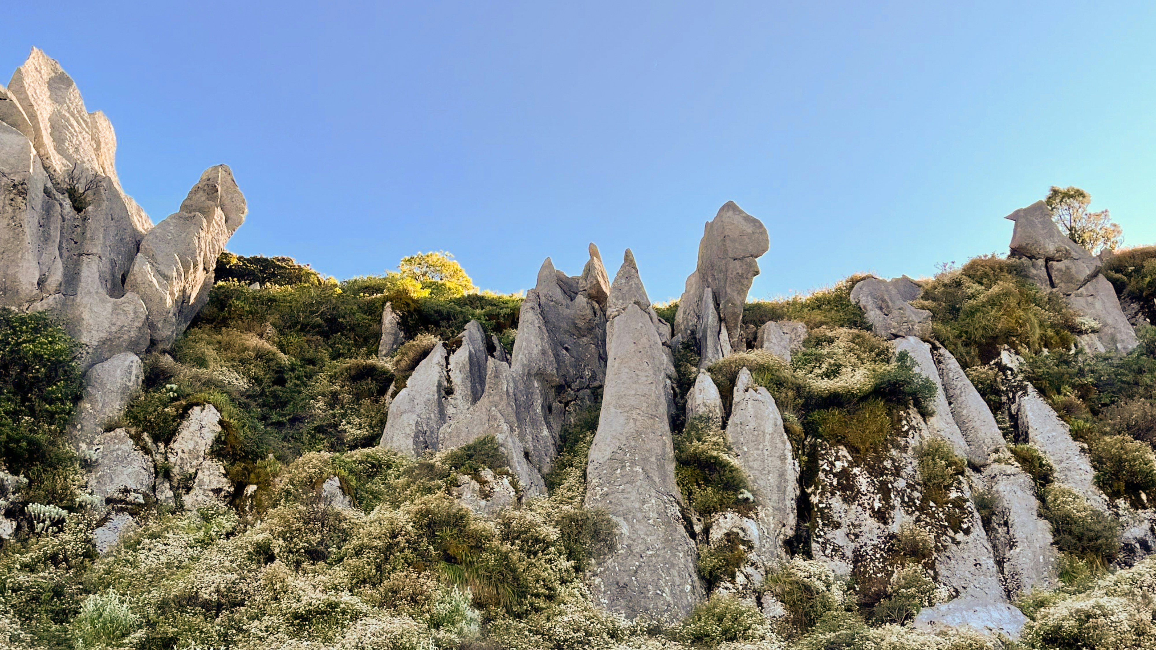 Photo by jaimegusmao