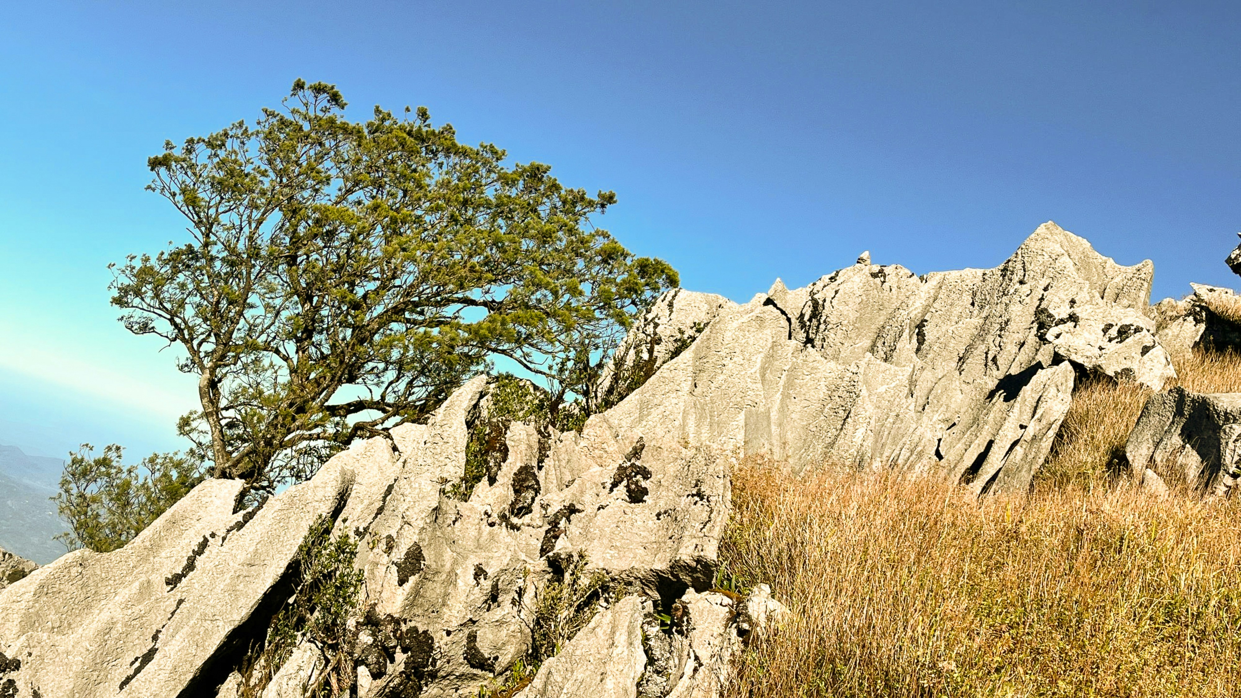 Photo by jaimegusmao