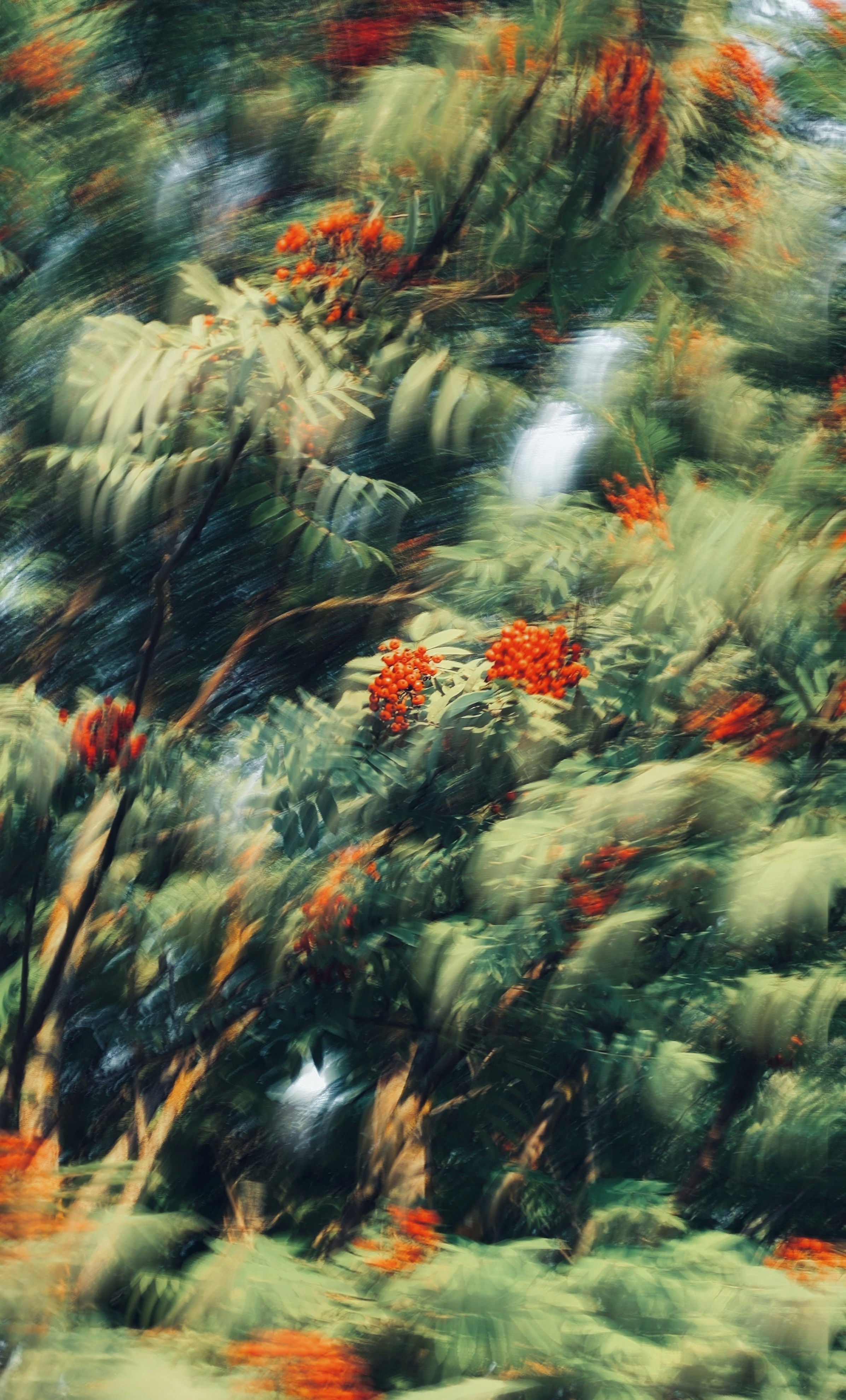 Photo by eugene_golovesov