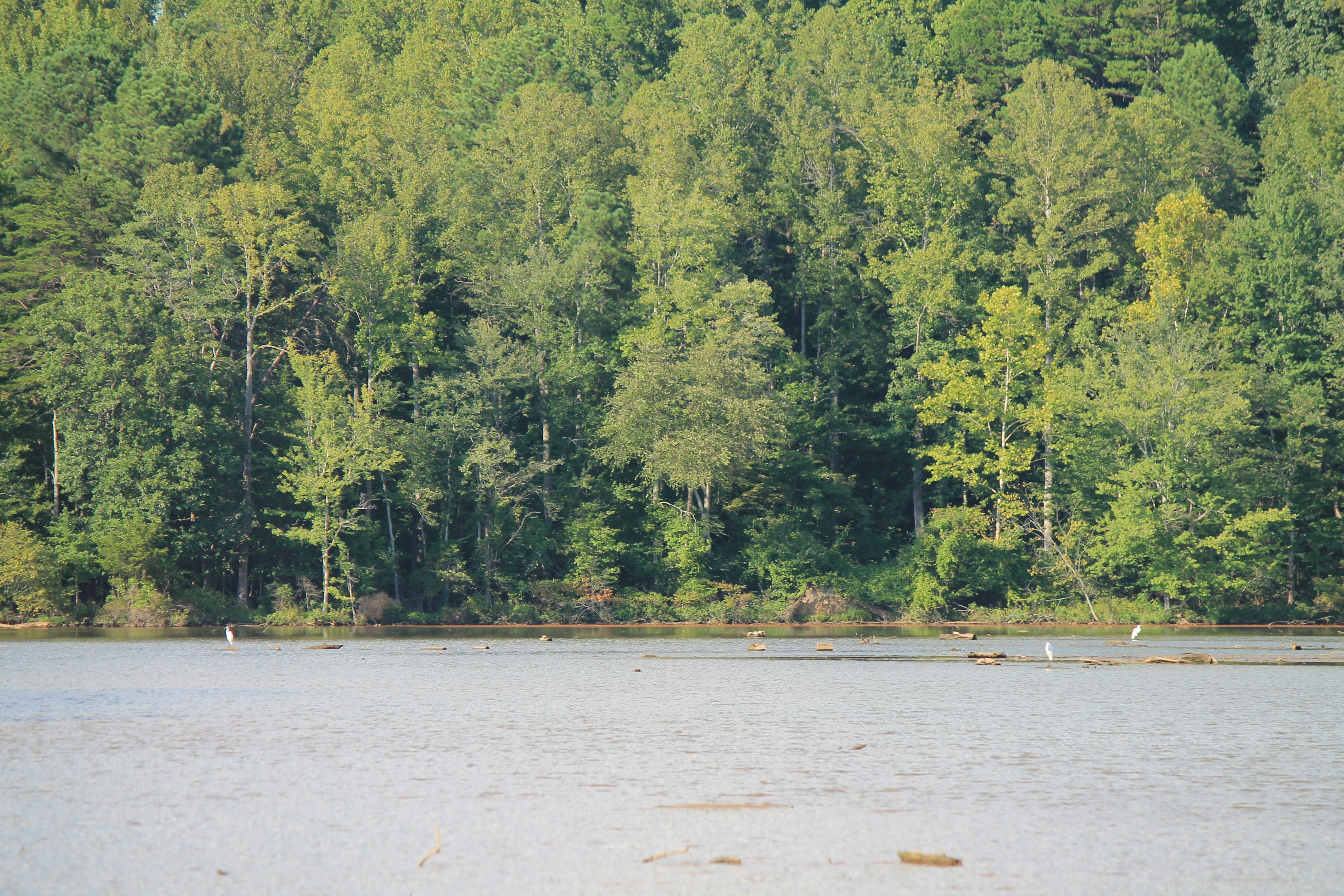 Photo by nick_kissam