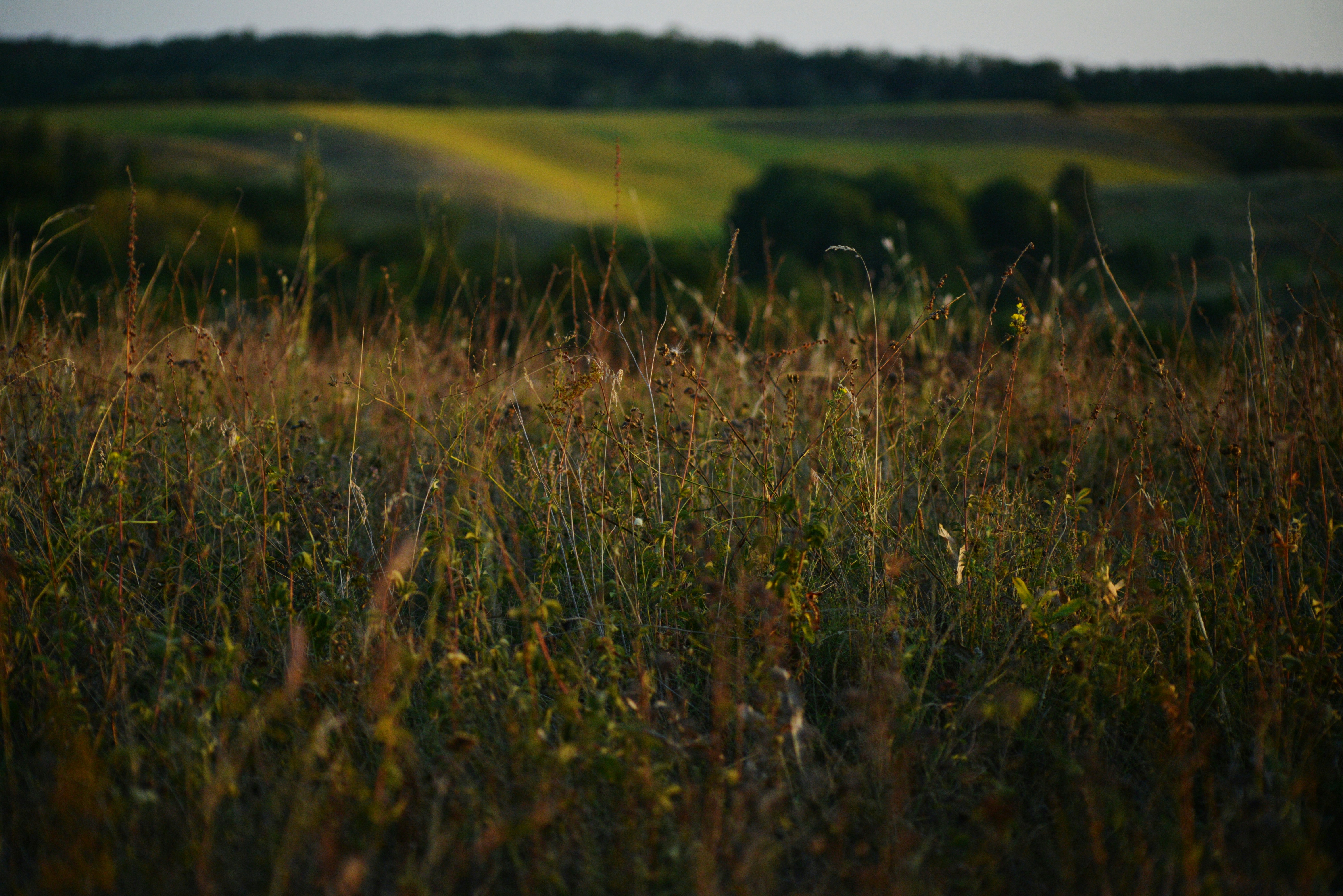 Photo by cherstve_pechivo