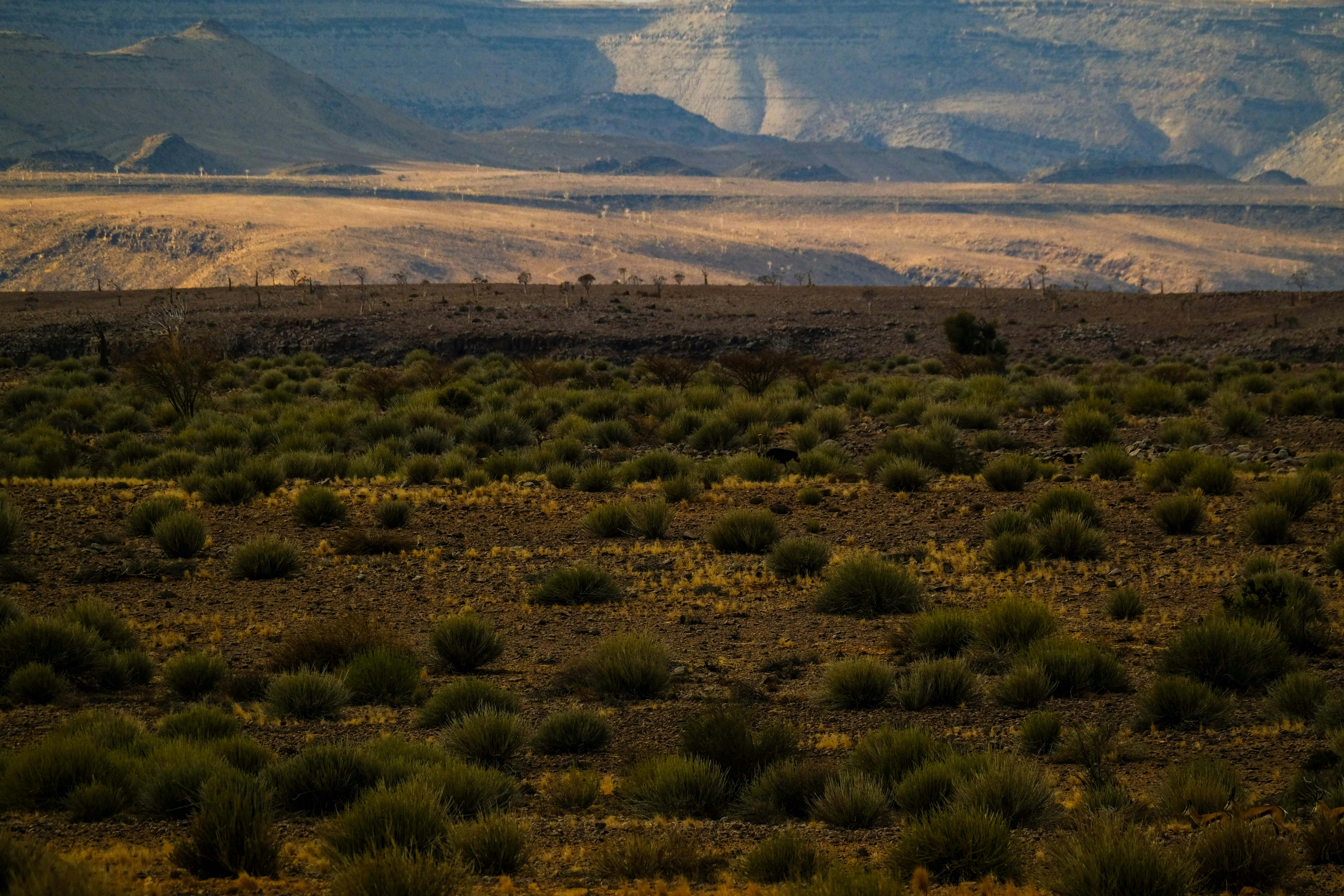 Photo by francesco_ungaro