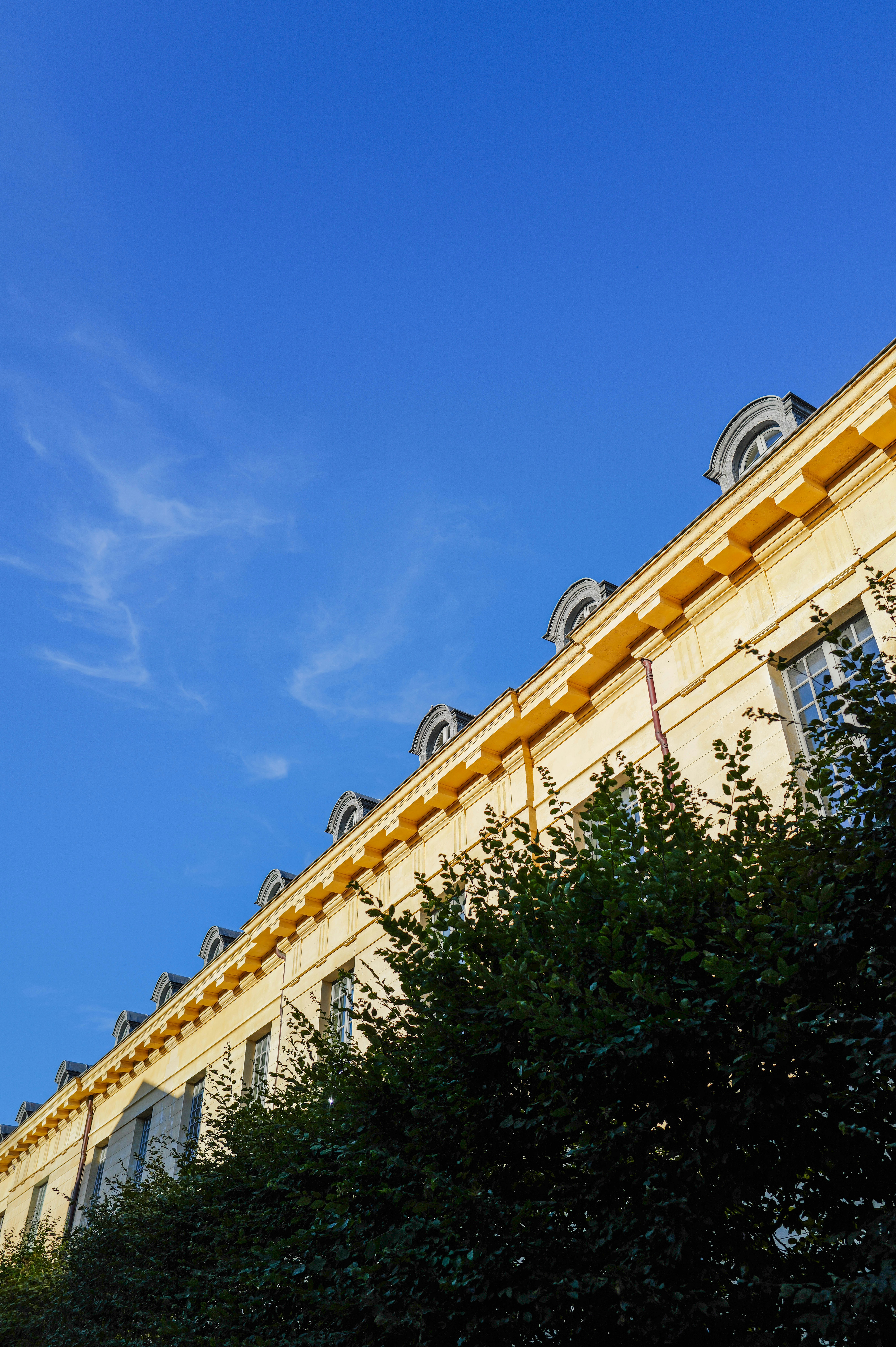 Photo by adrienolichon