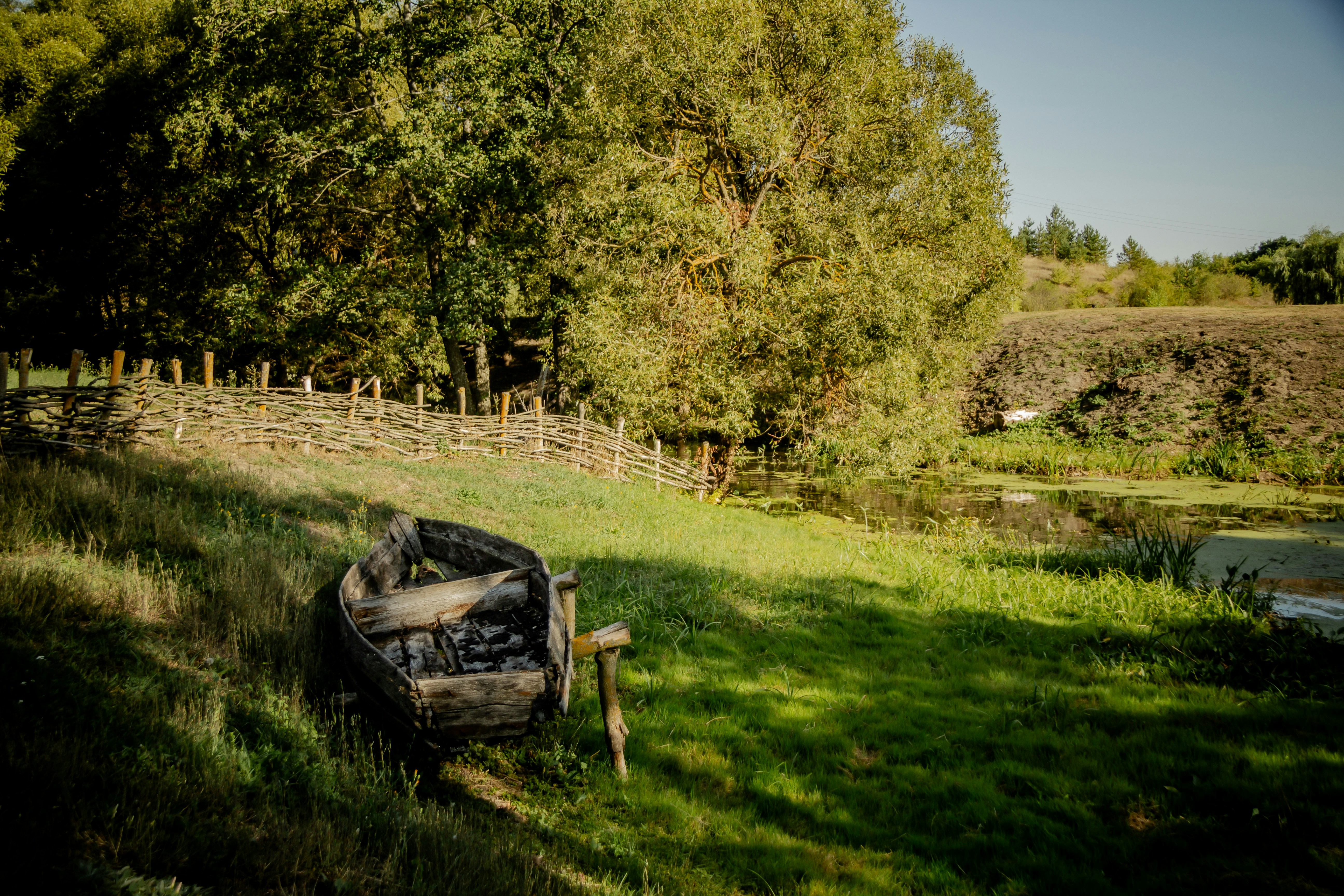 A car that is sitting in the grass