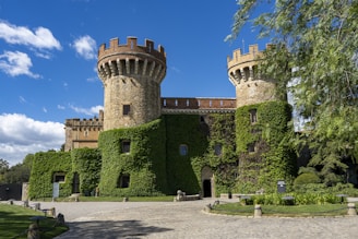 A castle with a lot of ivy growing on it