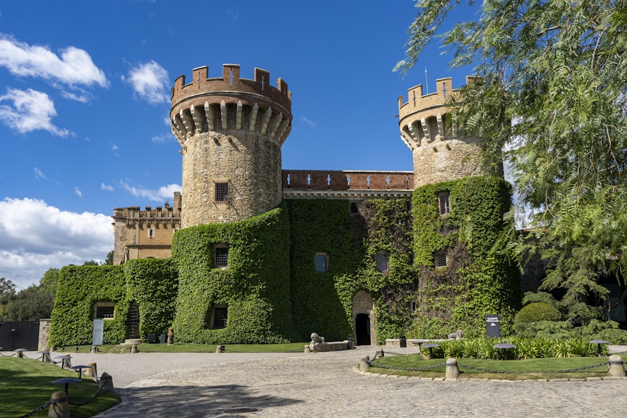 A castle with a lot of ivy growing on it
