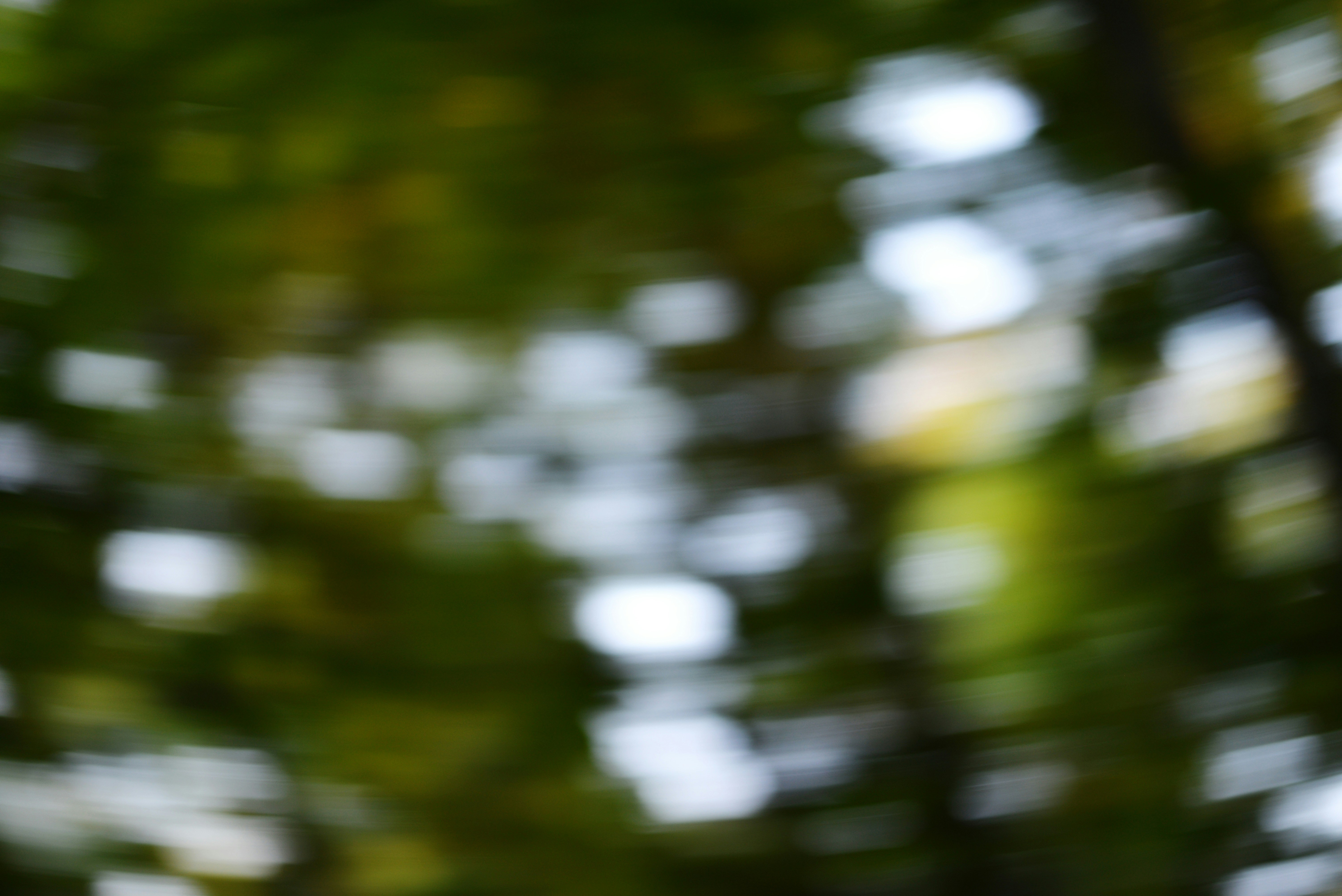 Photo by cherstve_pechivo