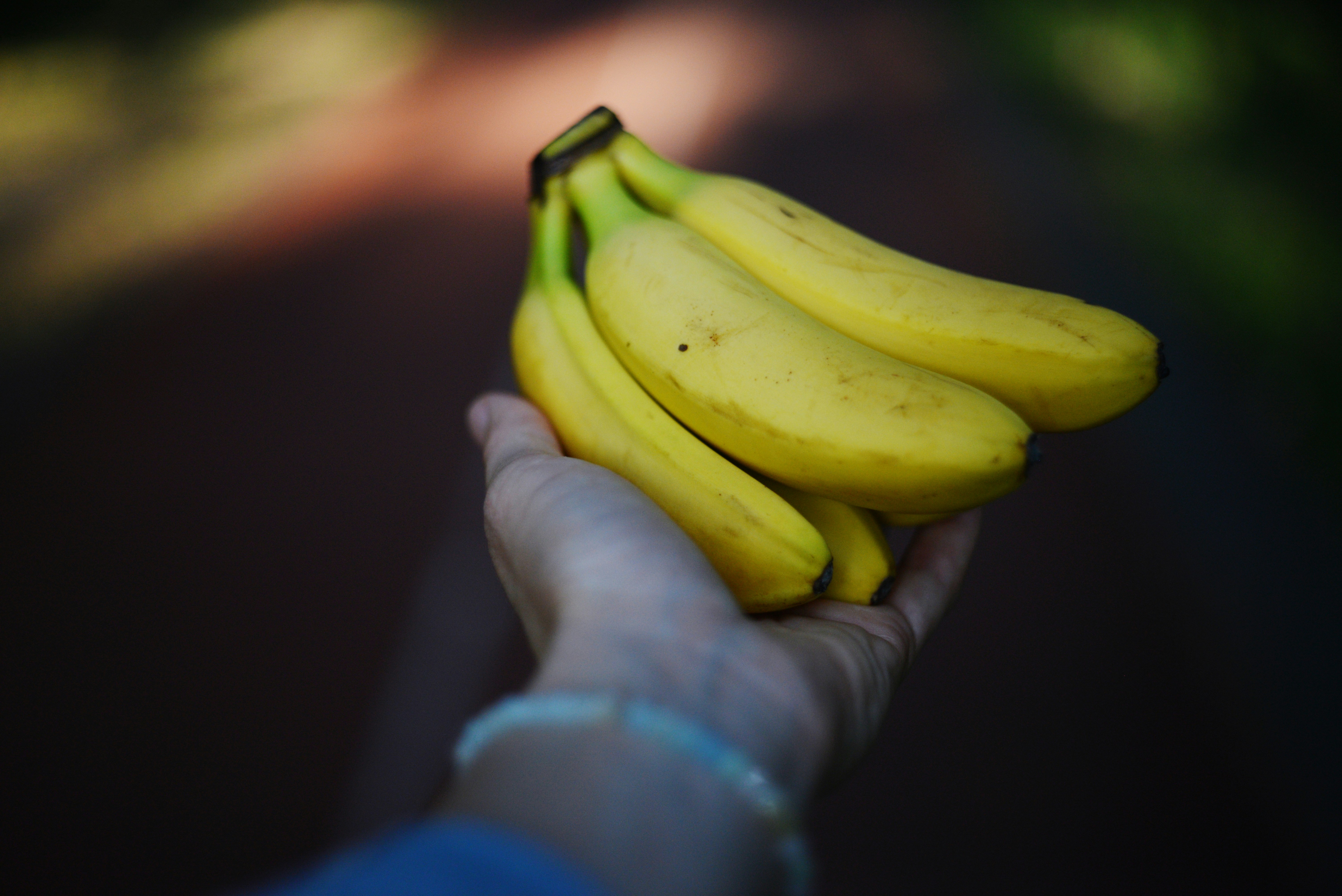 Photo by cherstve_pechivo