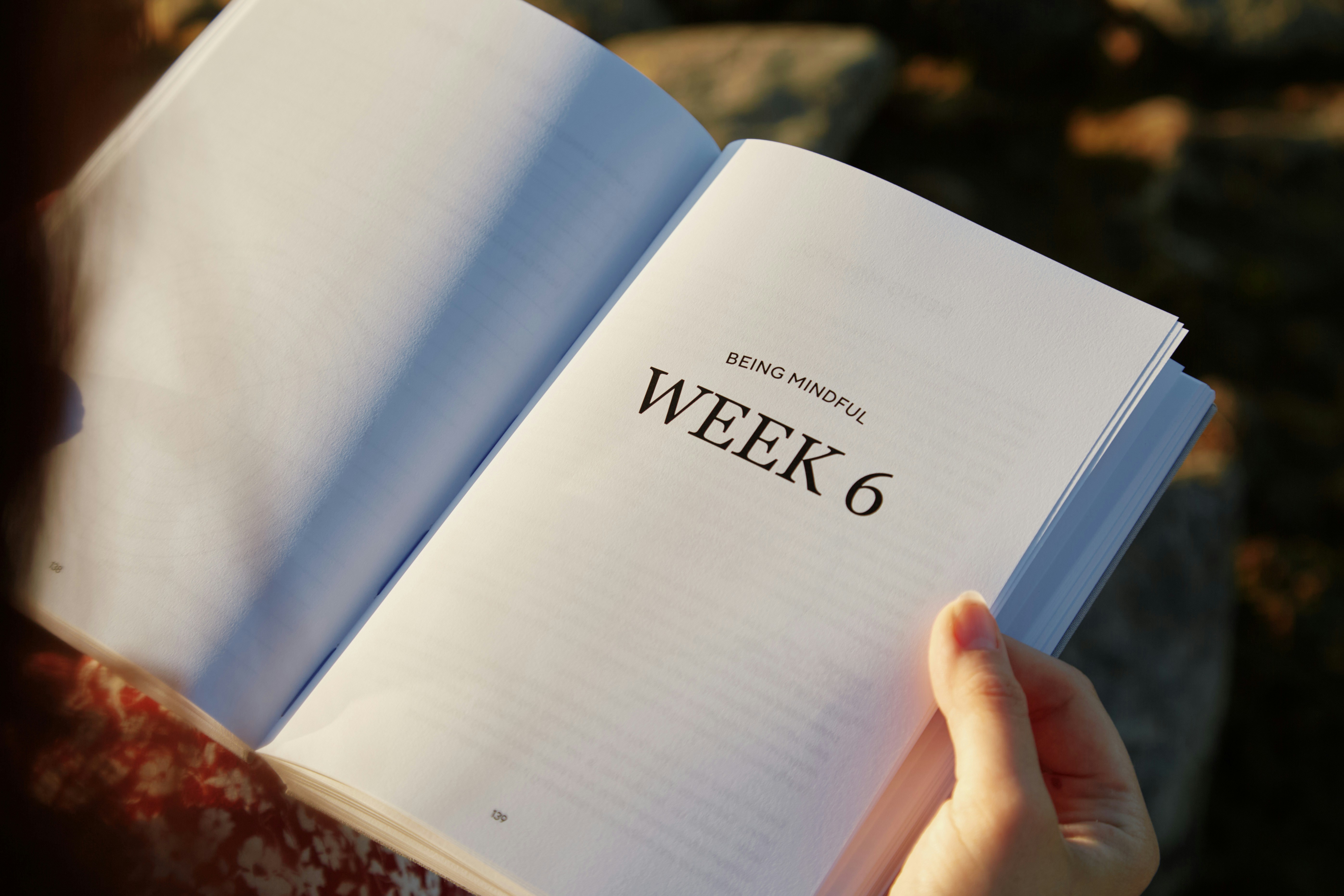 Photo by joonas1233 on Unsplash