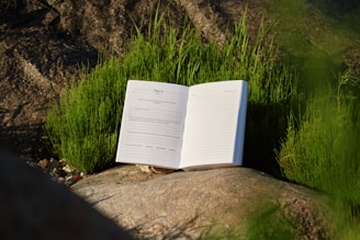 An open book sitting on top of a rock