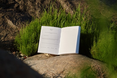 An open book sitting on top of a rock