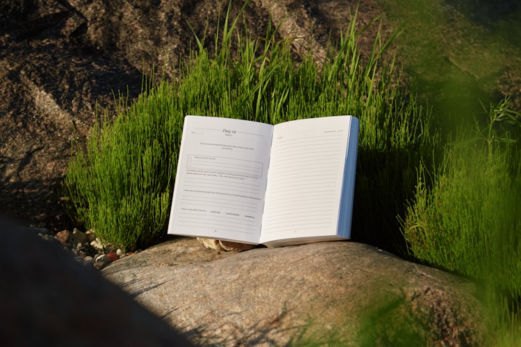 Why Your Activity Log Is More Useful Than You Think