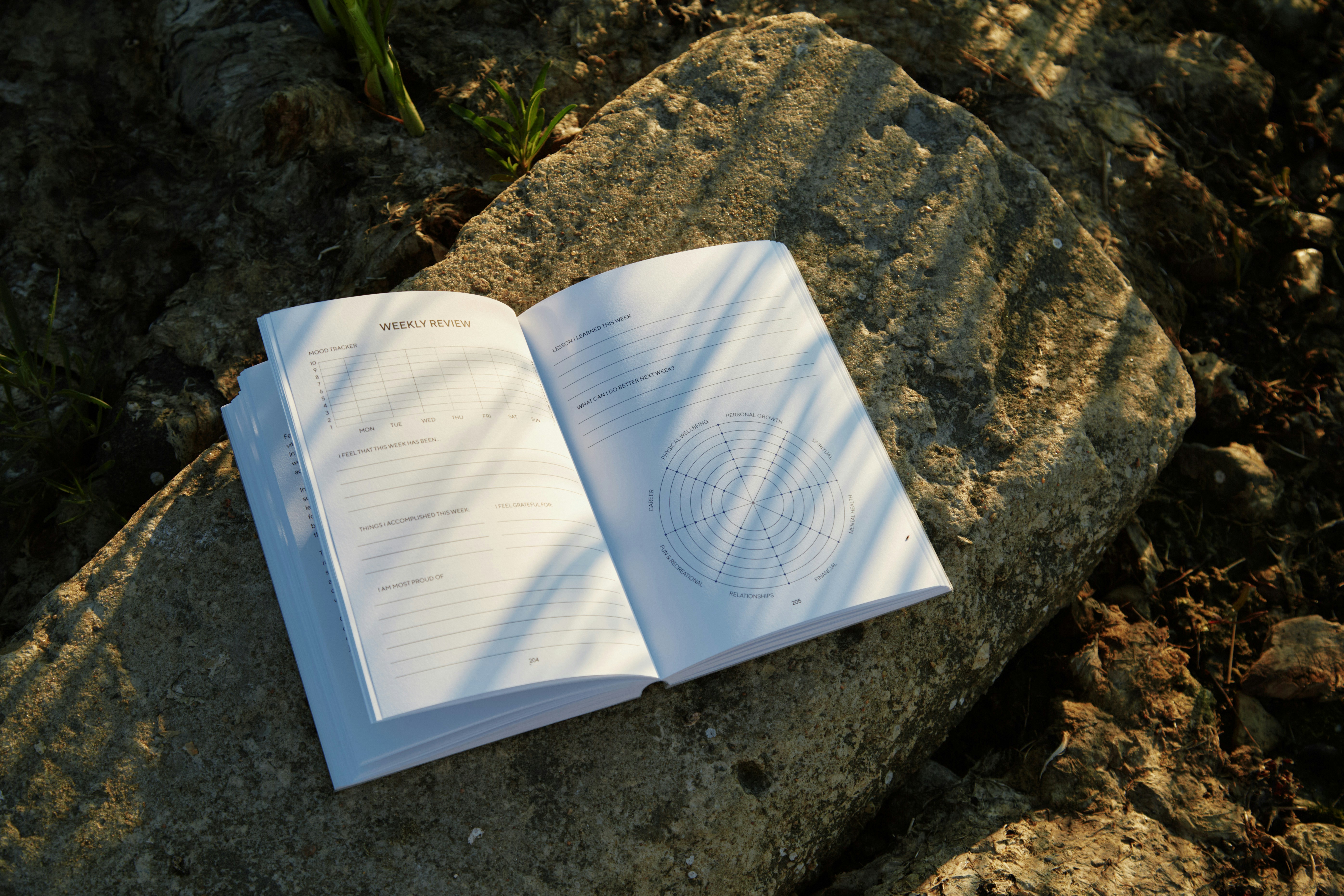 An open book sitting on top of a rock
