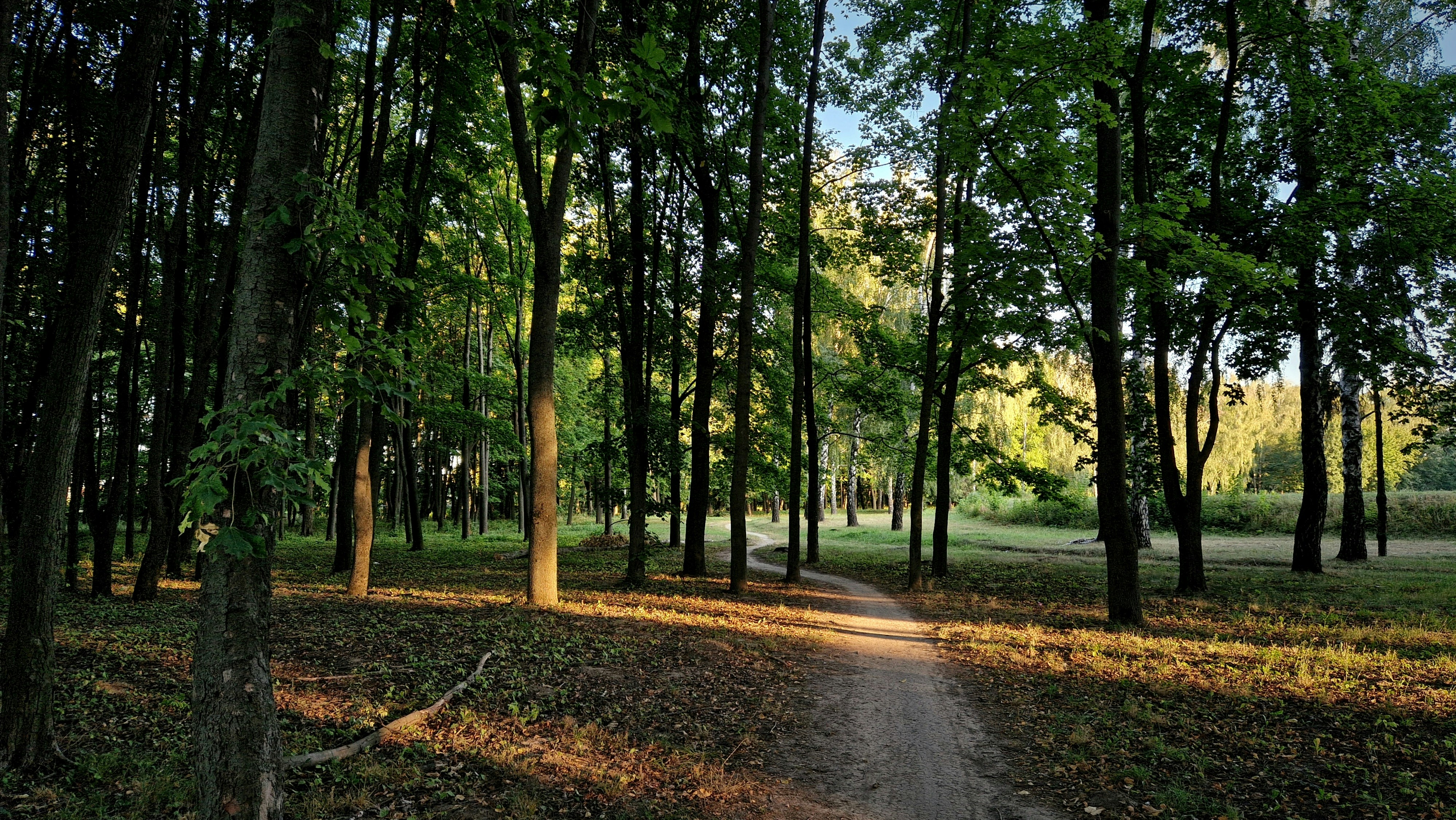 Photo by dmushtaieva