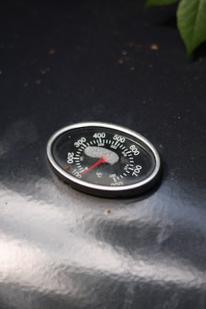 Instant-Read Thermometer