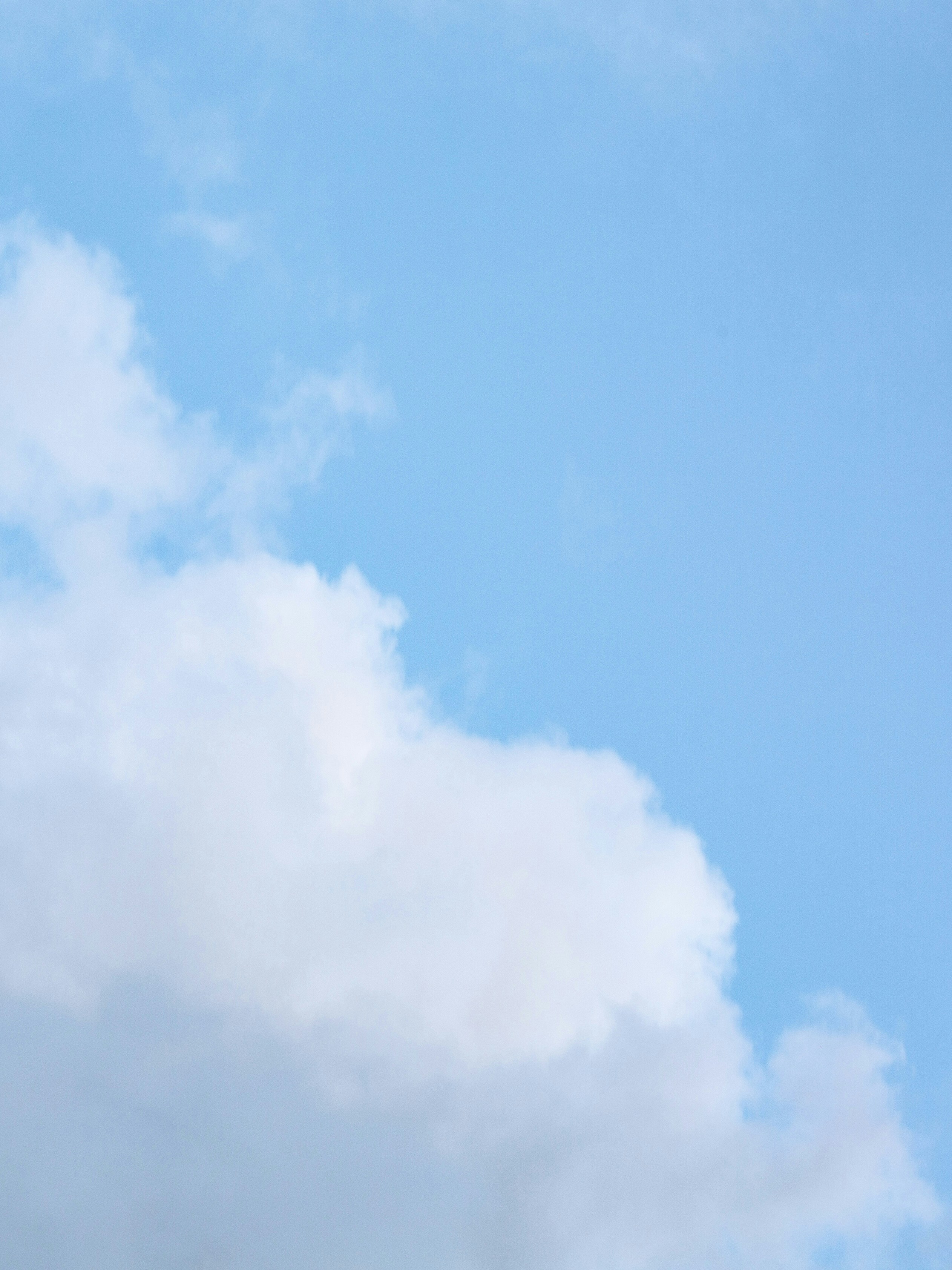 Photo by briannakari