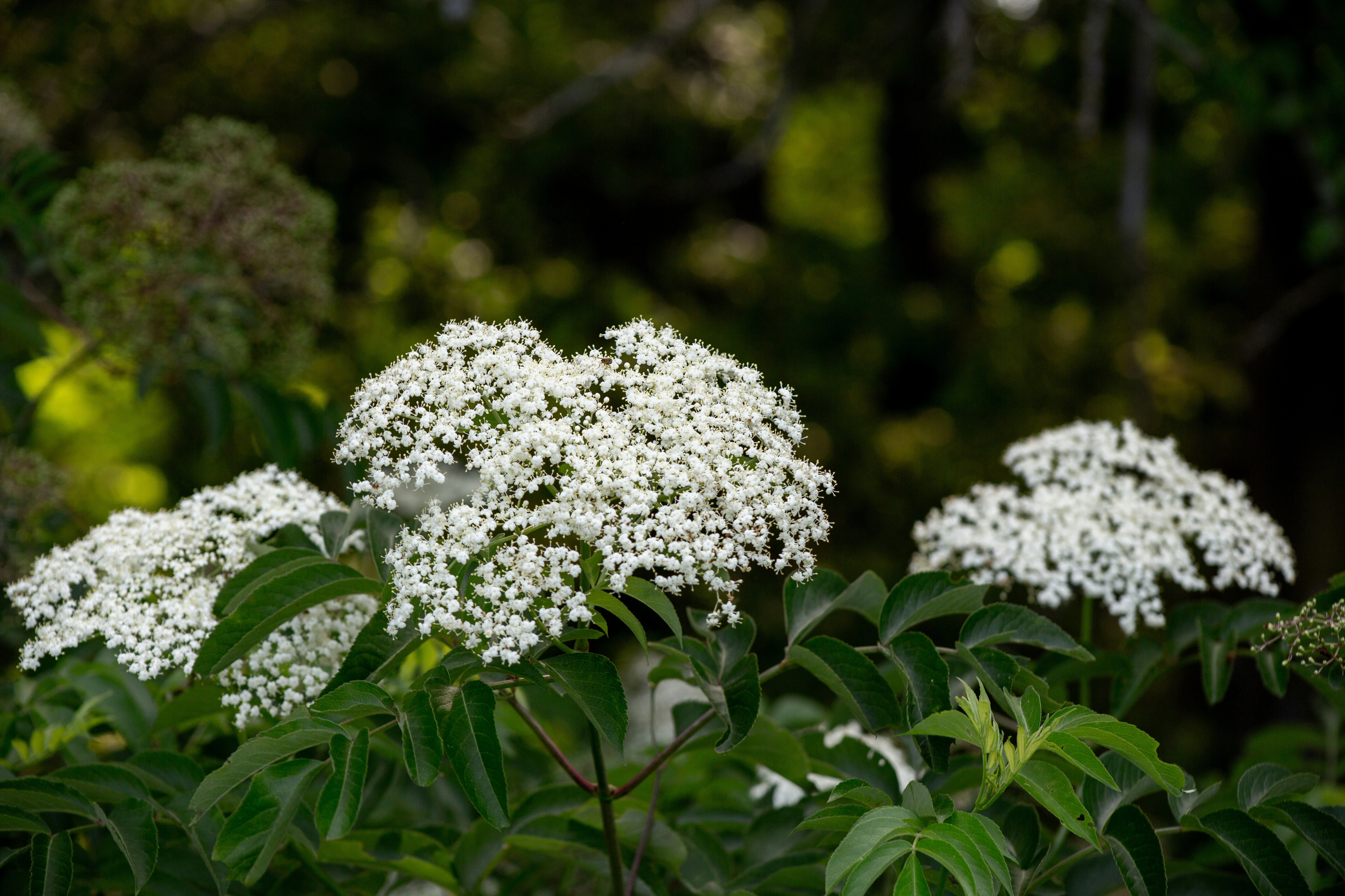 Photo by briannakari