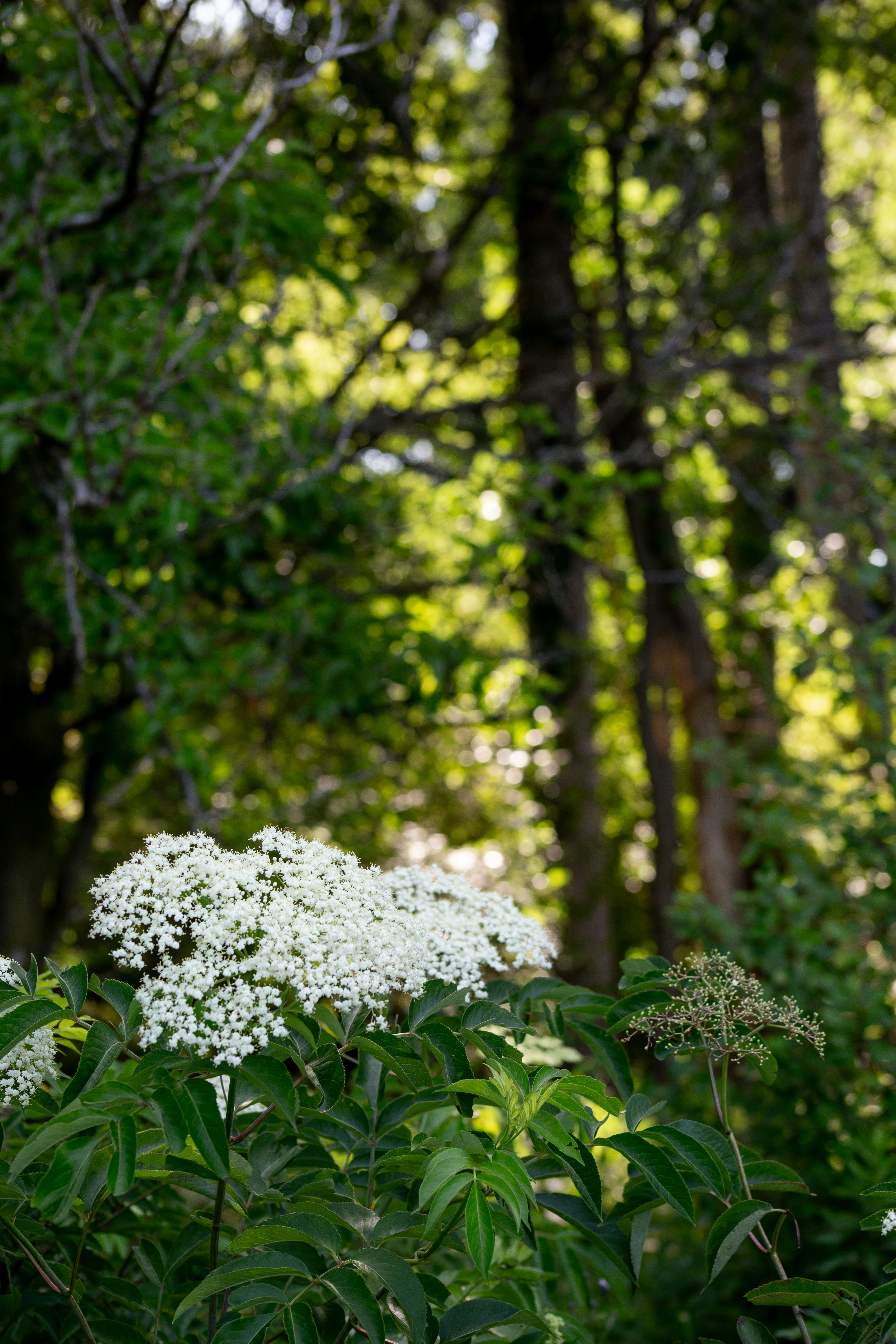 Photo by briannakari