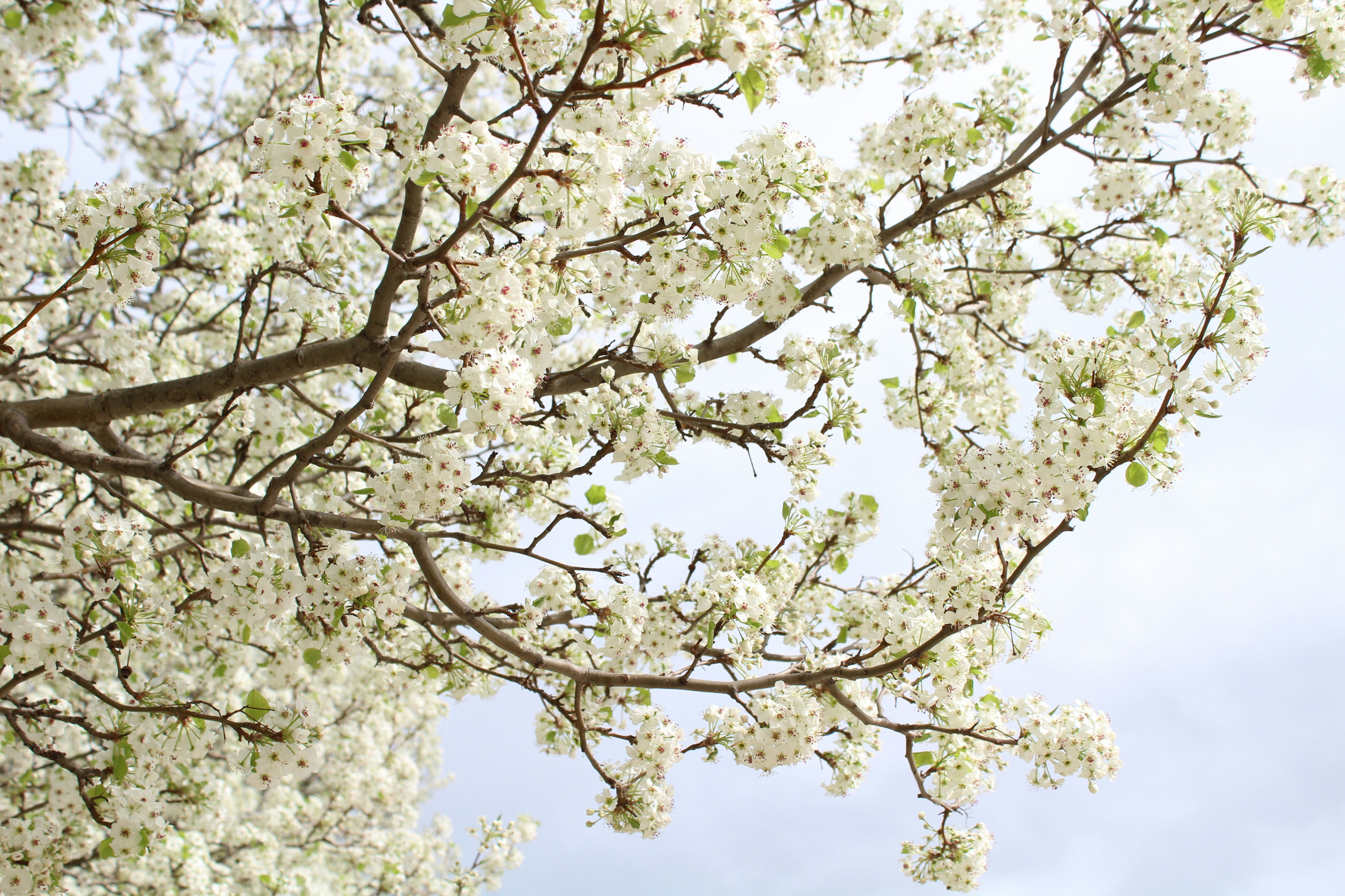 Photo by briannakari