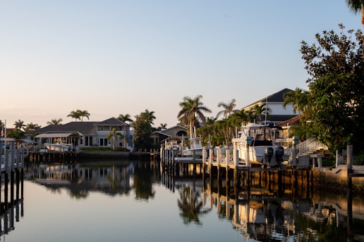 A body of water surrounded by houses and trees