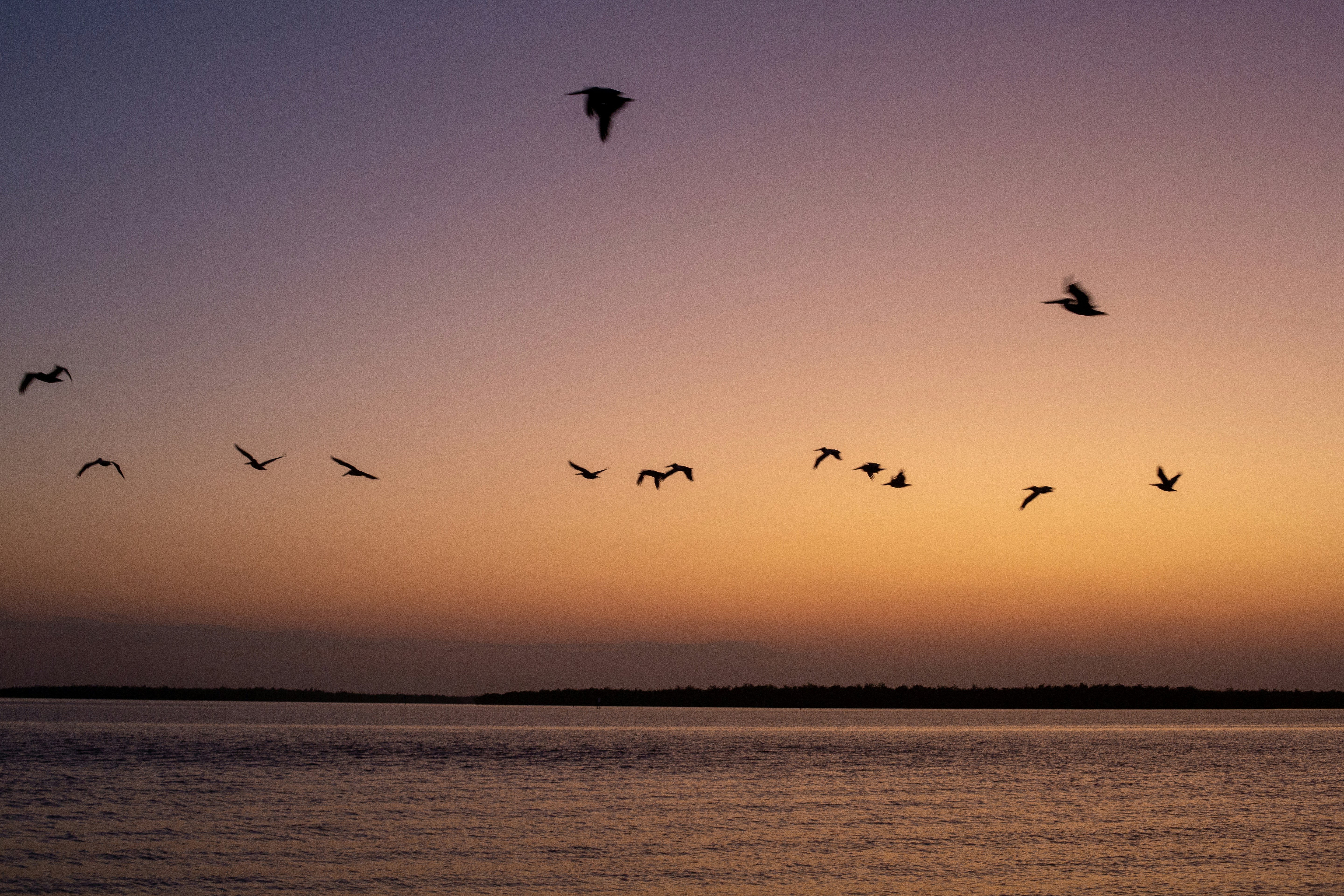 Photo by briannakari