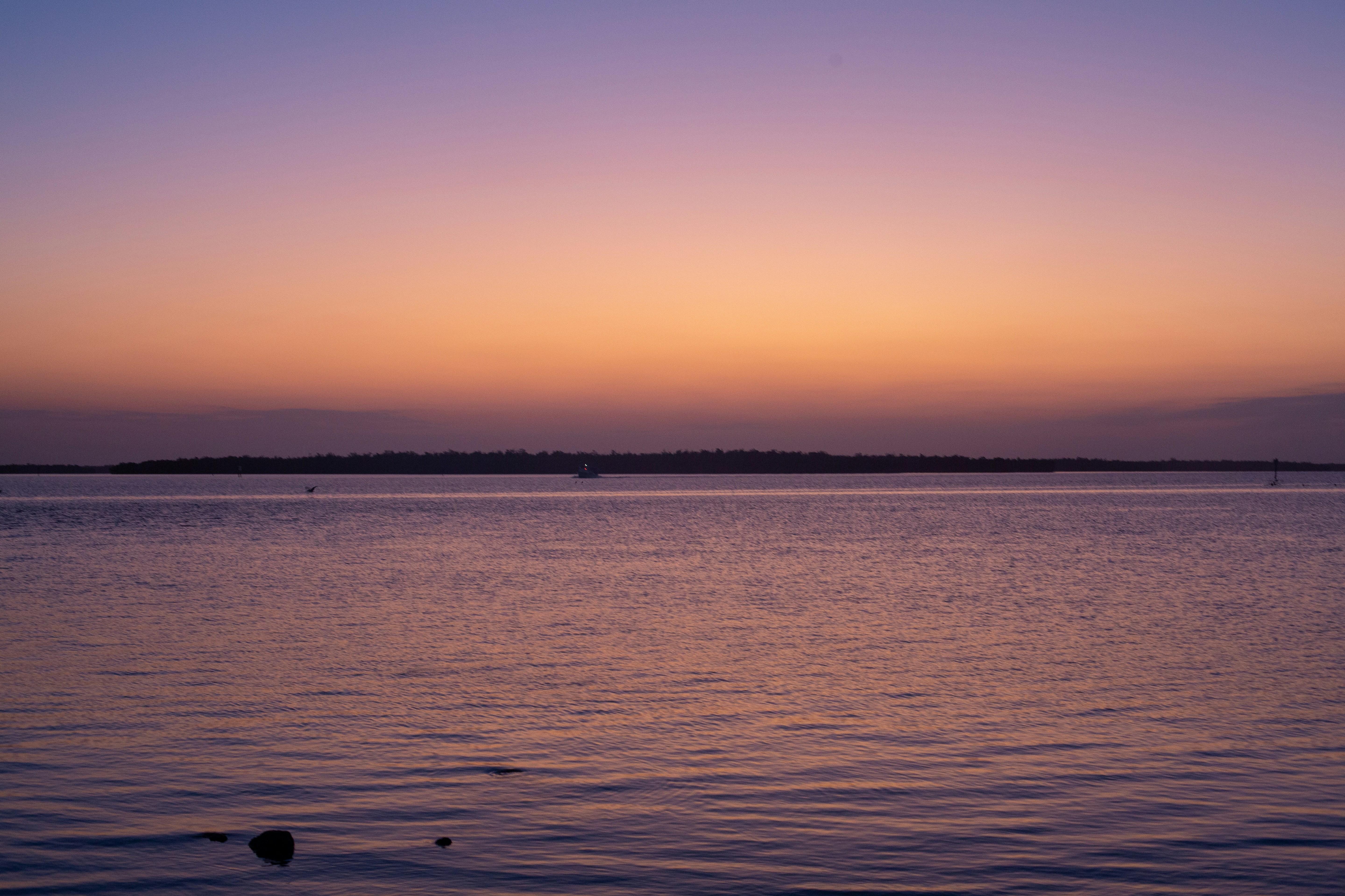 Photo by briannakari