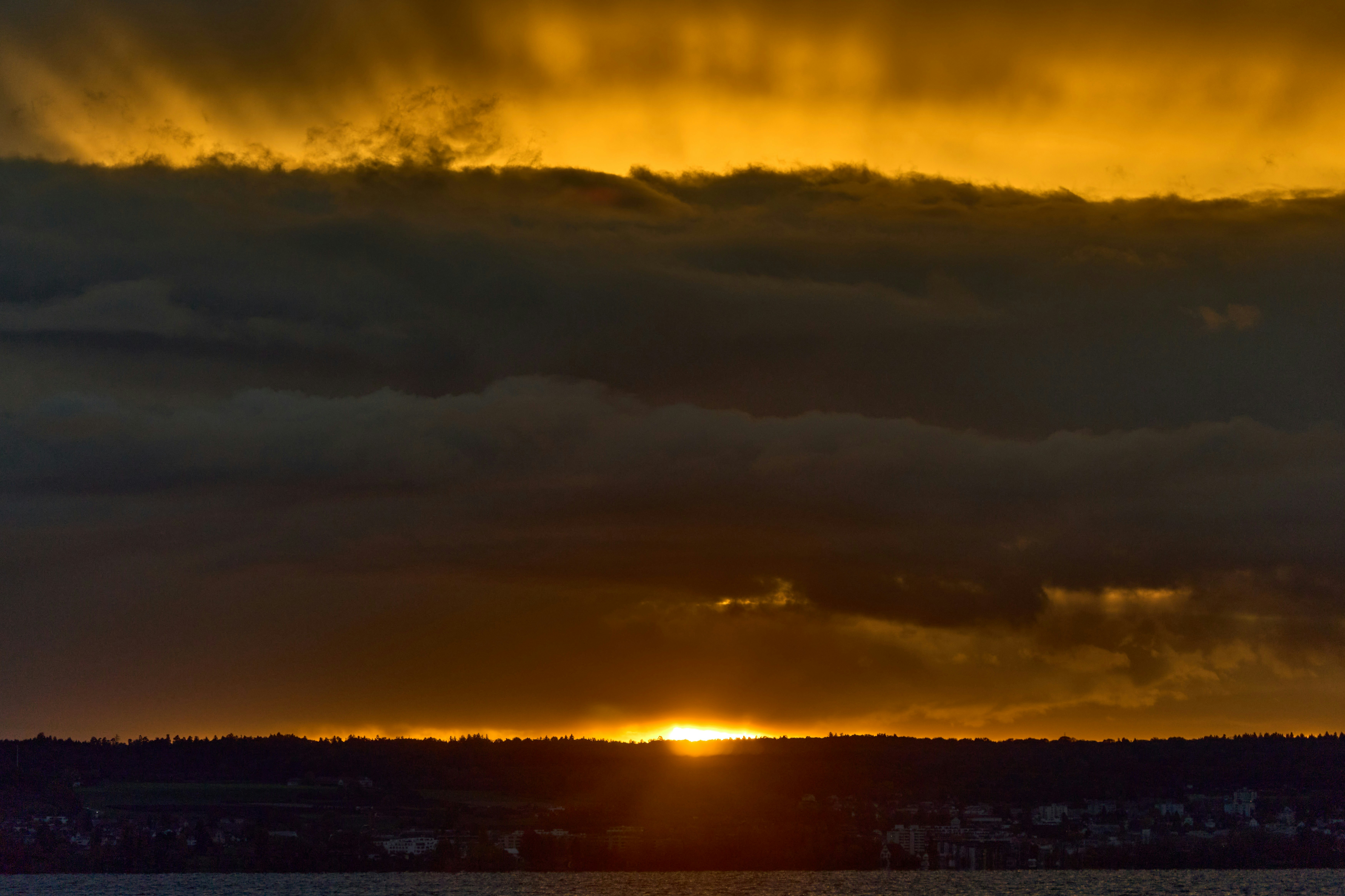 Photo by wolfgang_hasselmann