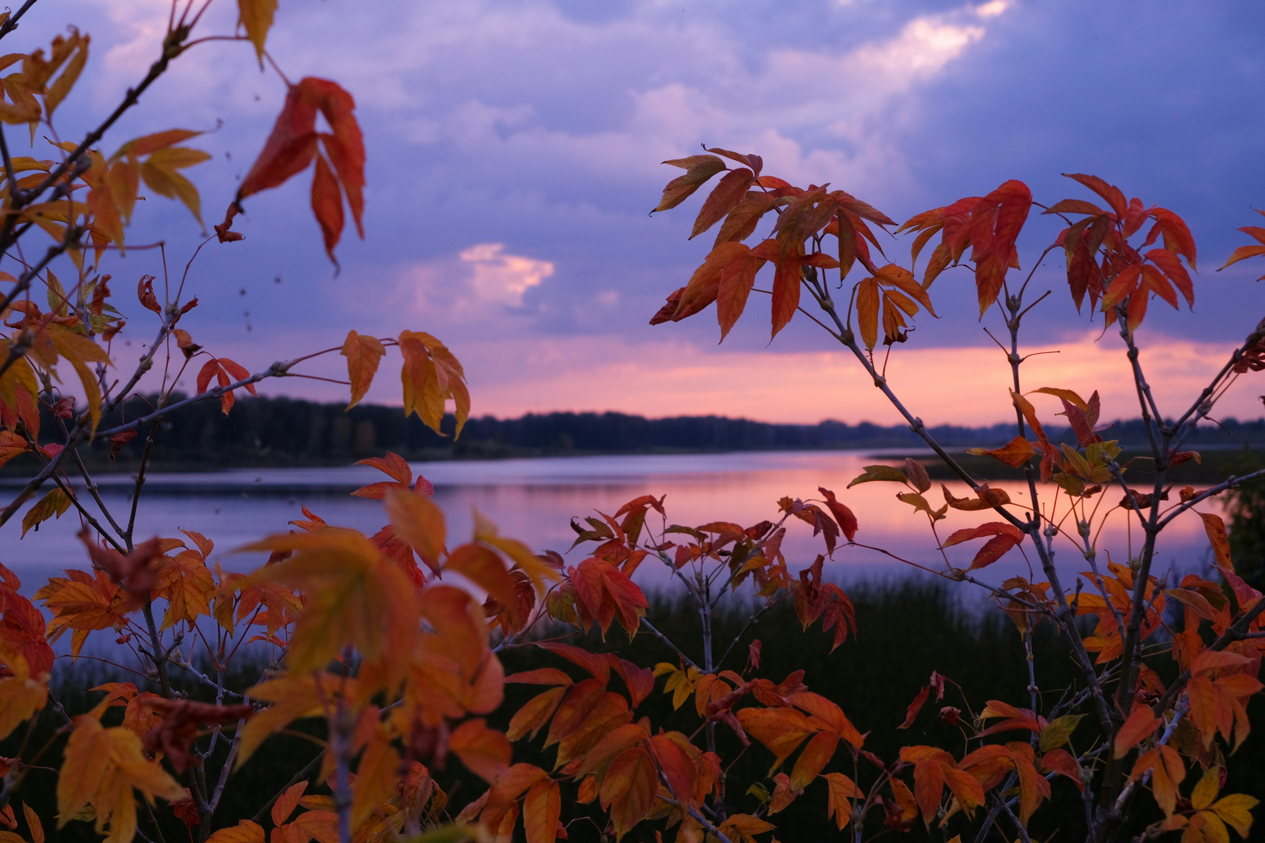 Purple sunset landscape with body of water