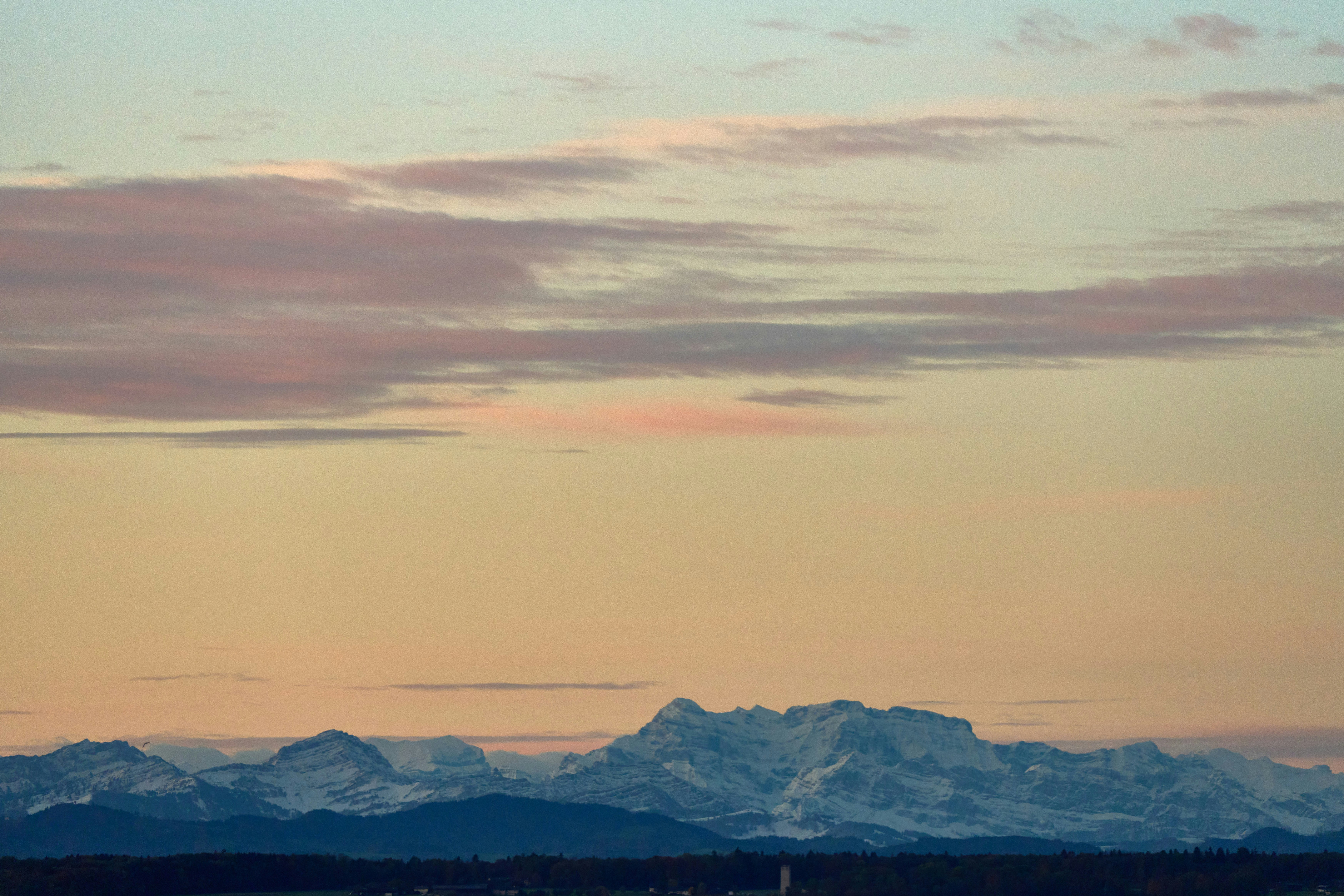 Photo by wolfgang_hasselmann