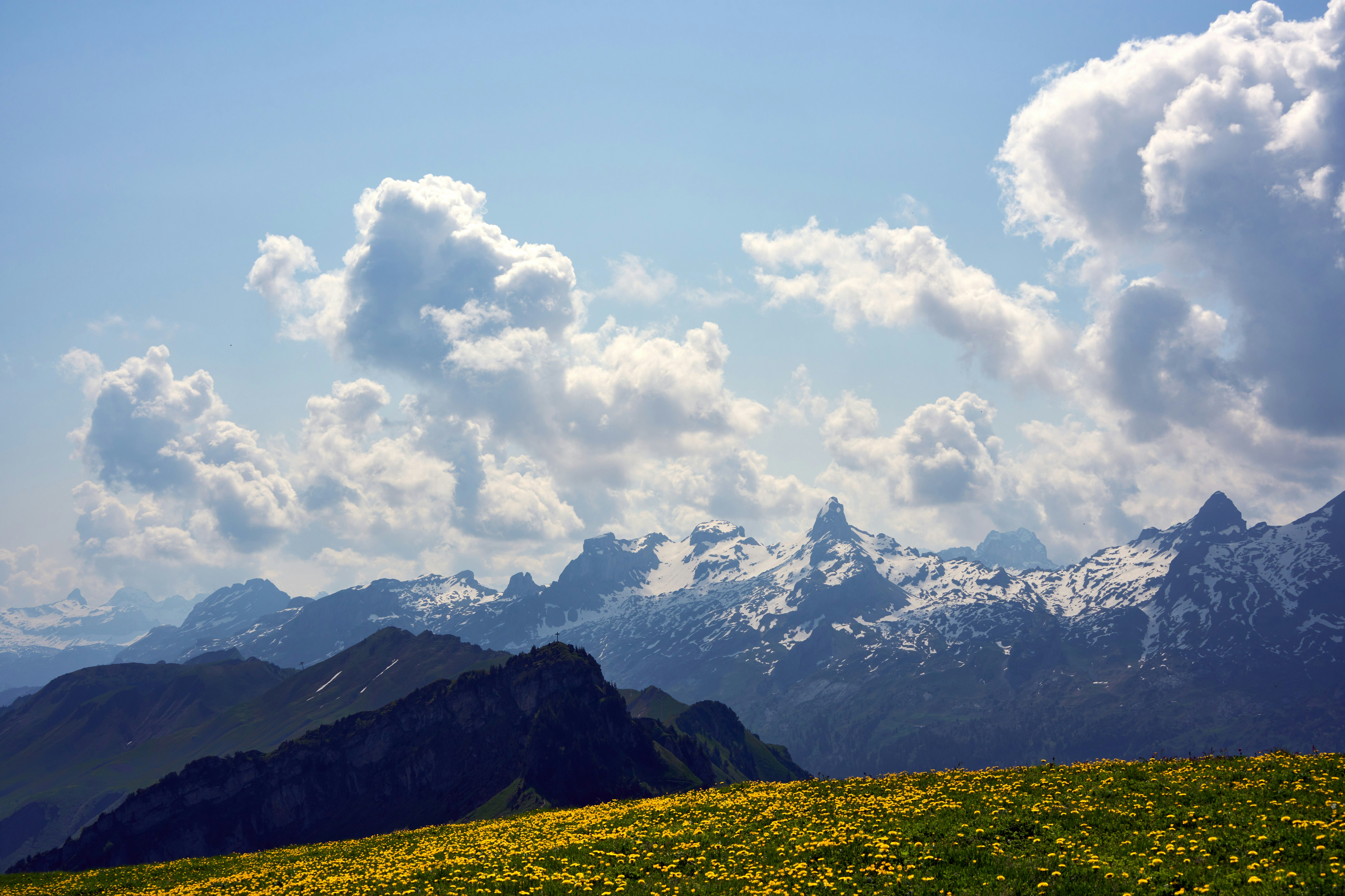 Photo by wolfgang_hasselmann