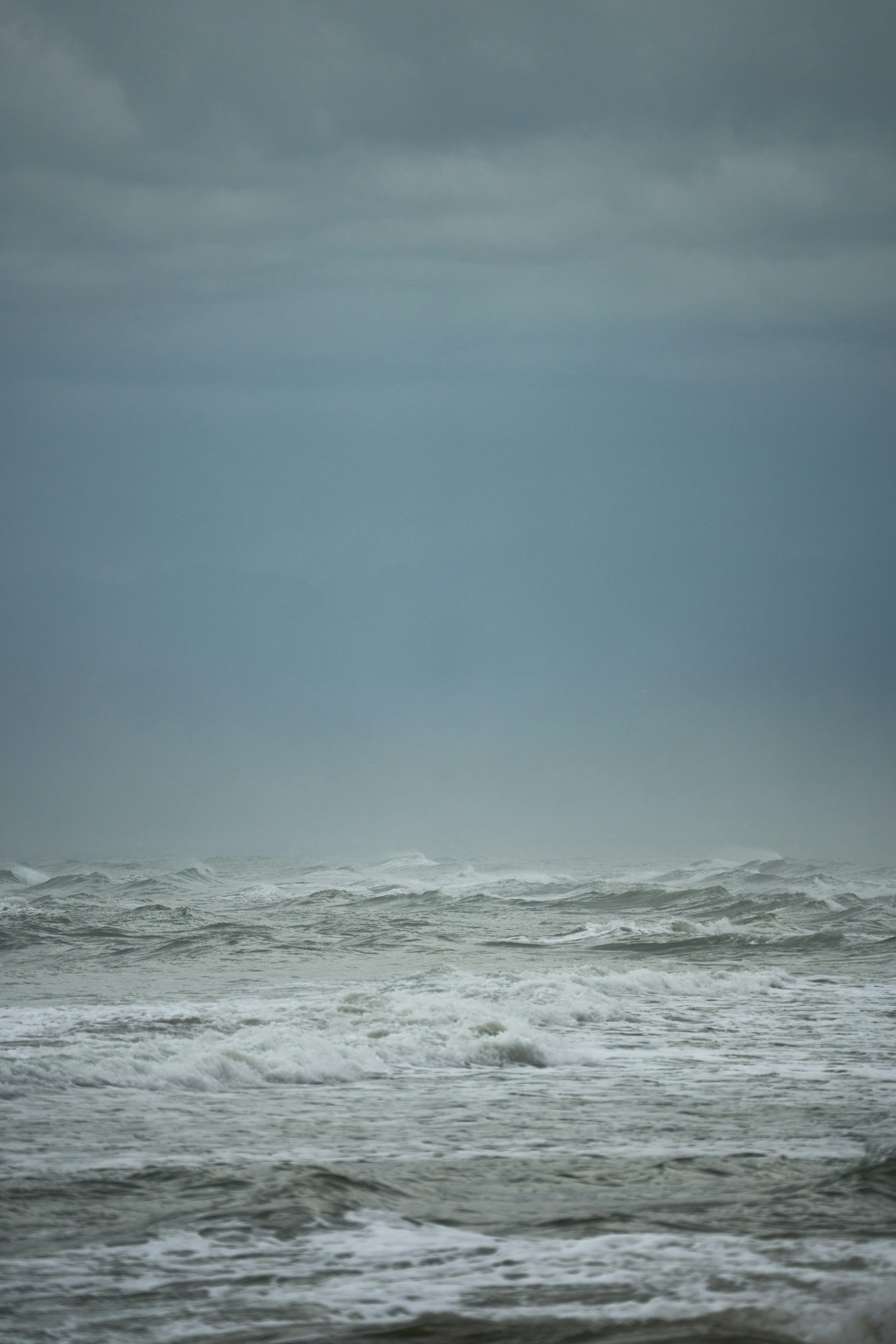 Photo by wolfgang_hasselmann