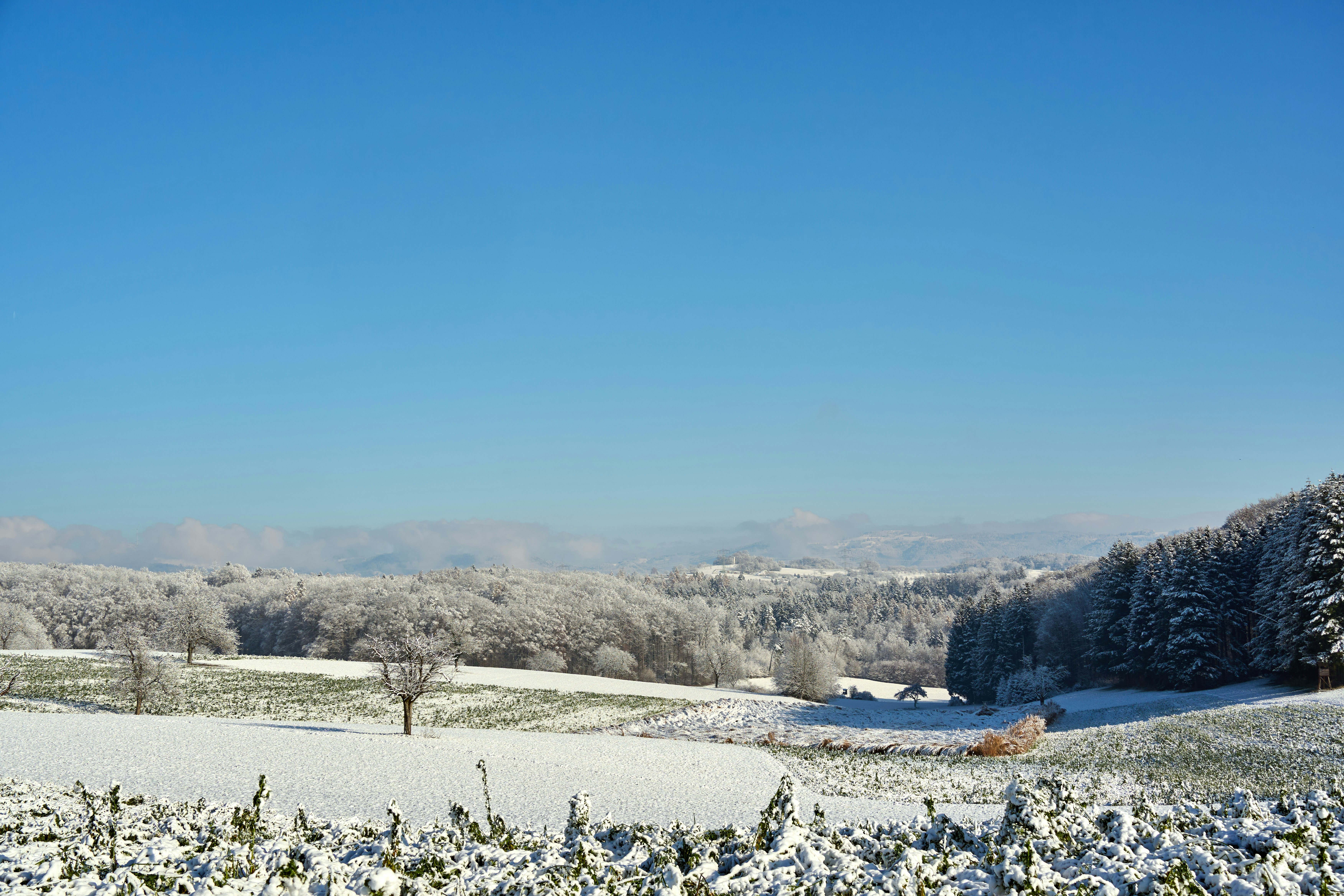 Photo by wolfgang_hasselmann