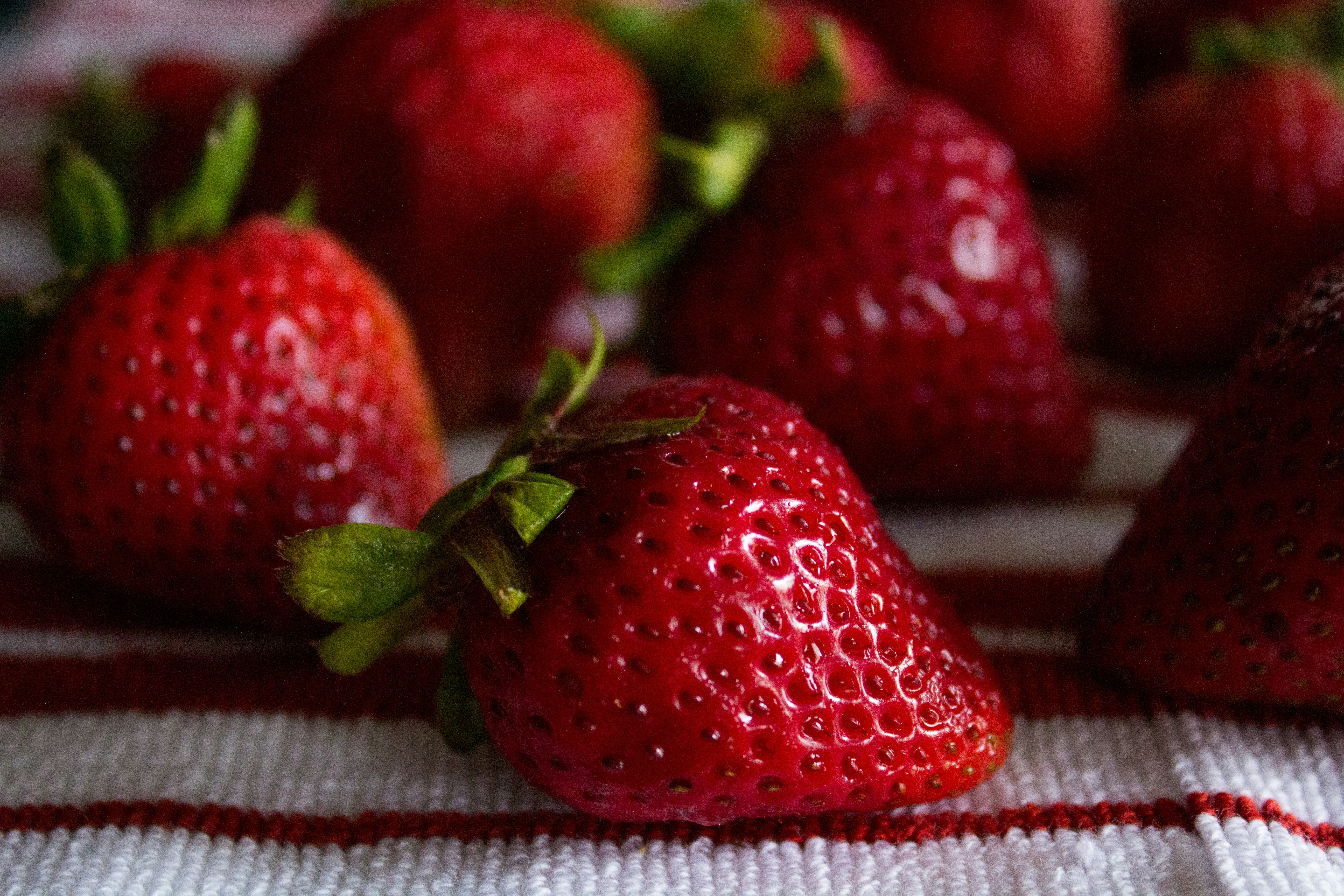 Photo by briannakari