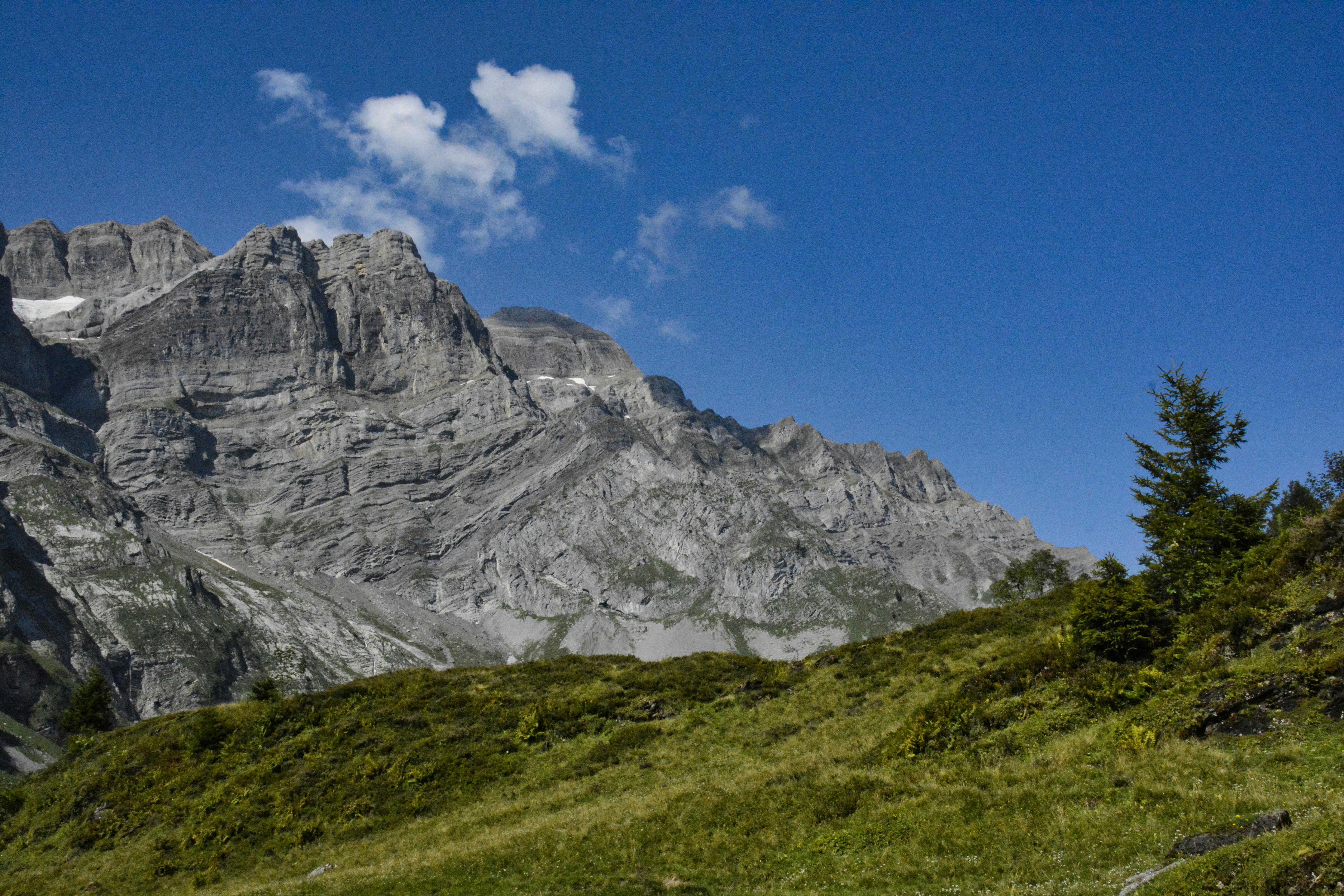 Photo by selvavaleska