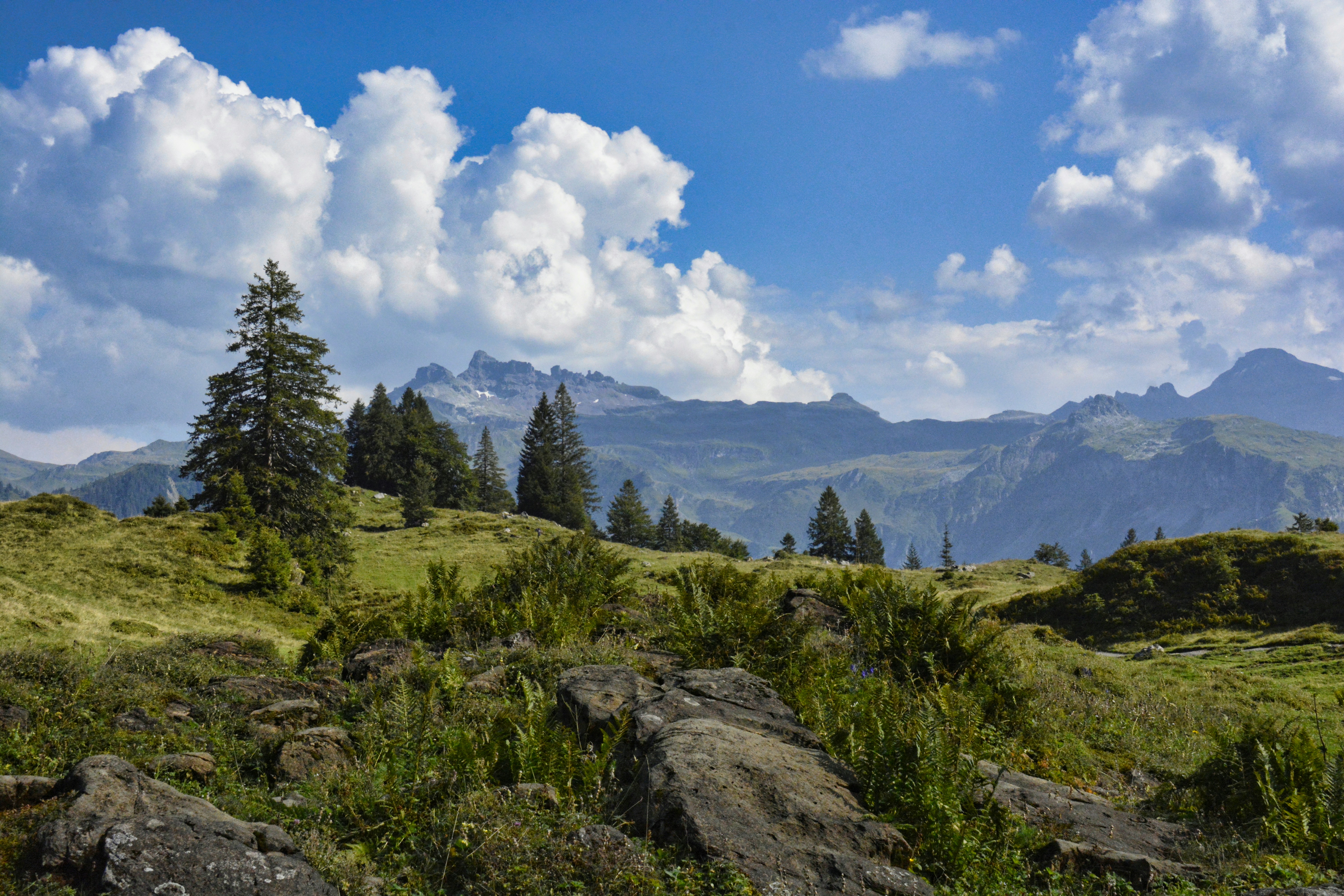 Containers in Wallis, TX