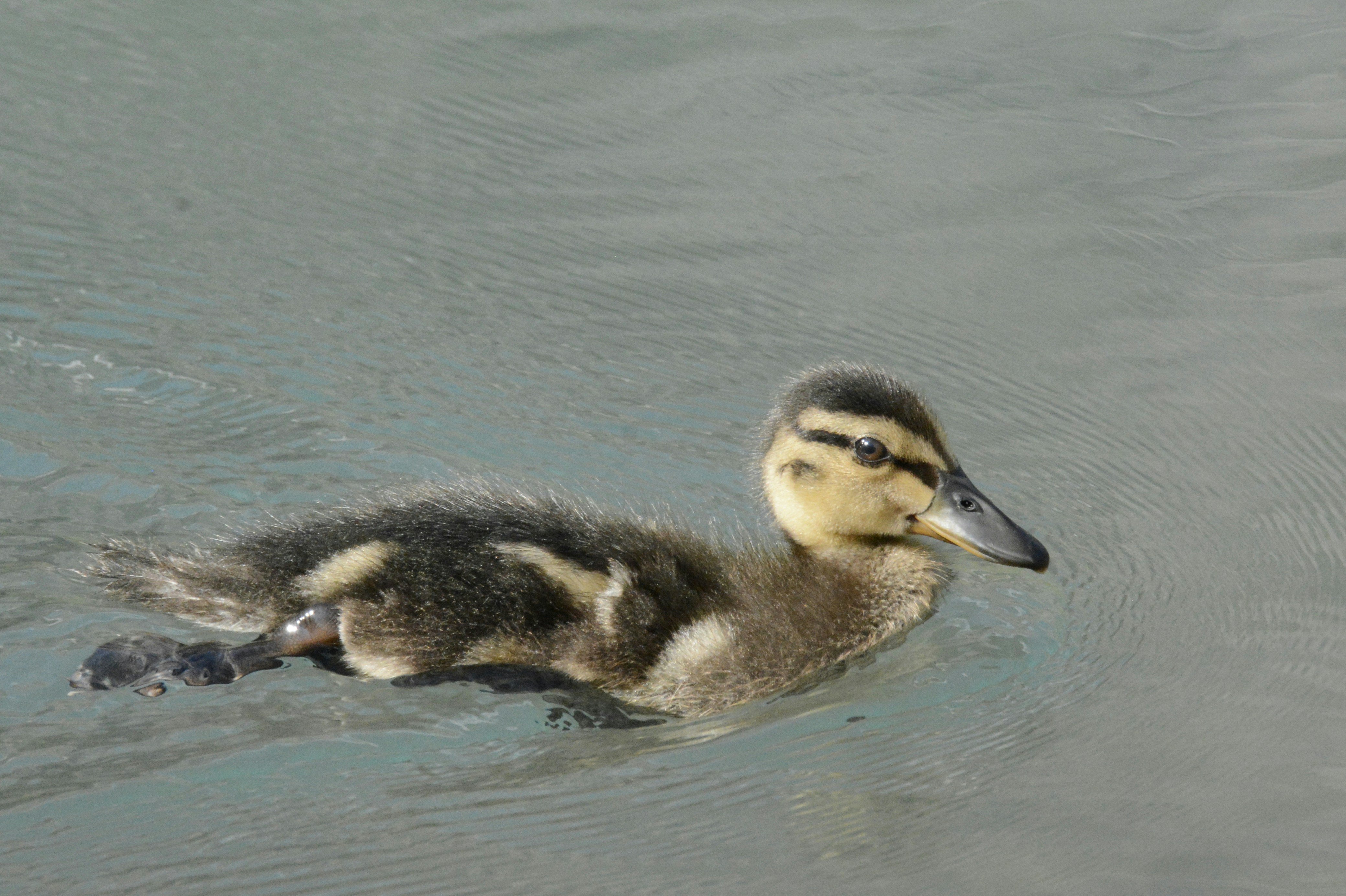 Photo by selvavaleska