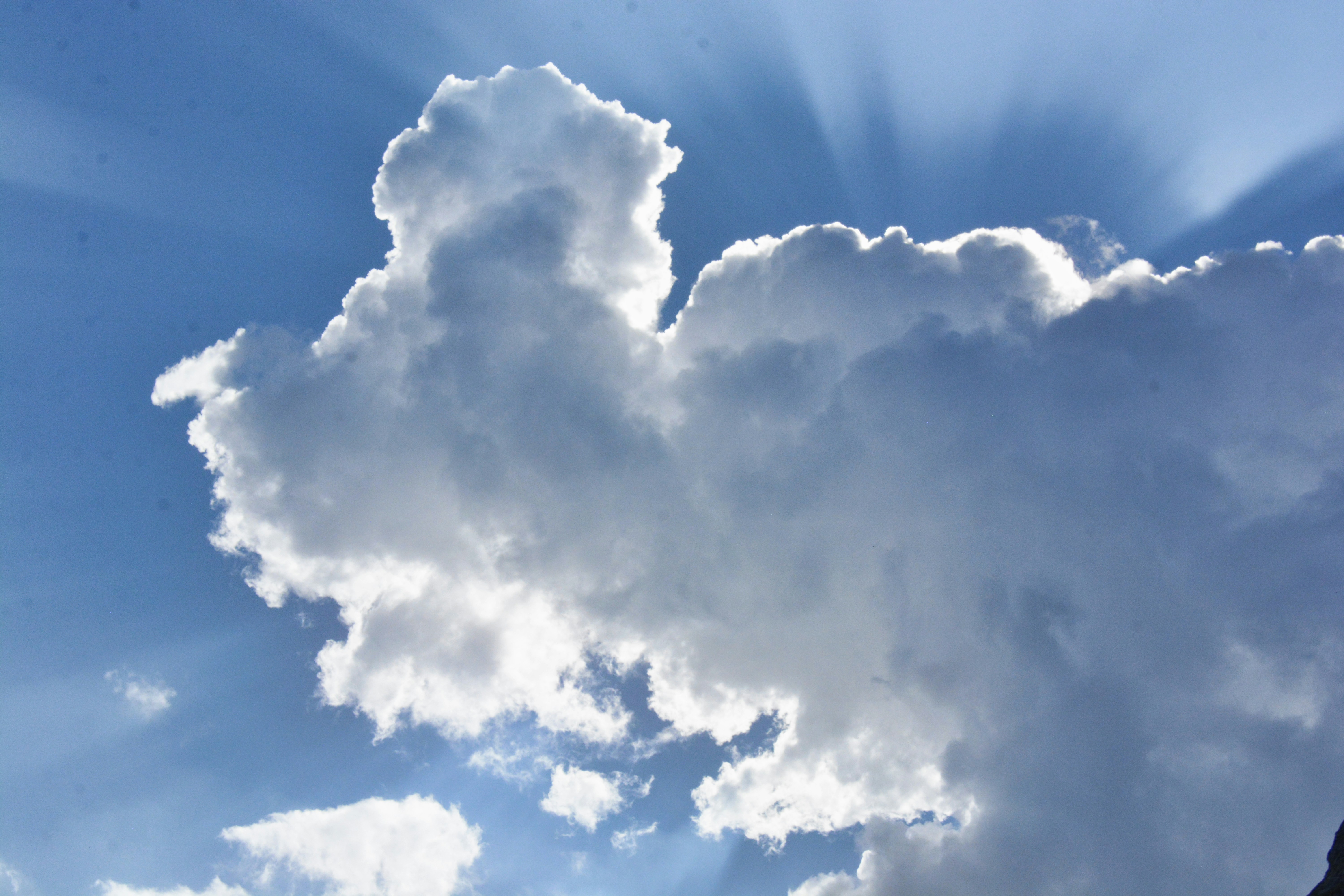 Photo by selvavaleska