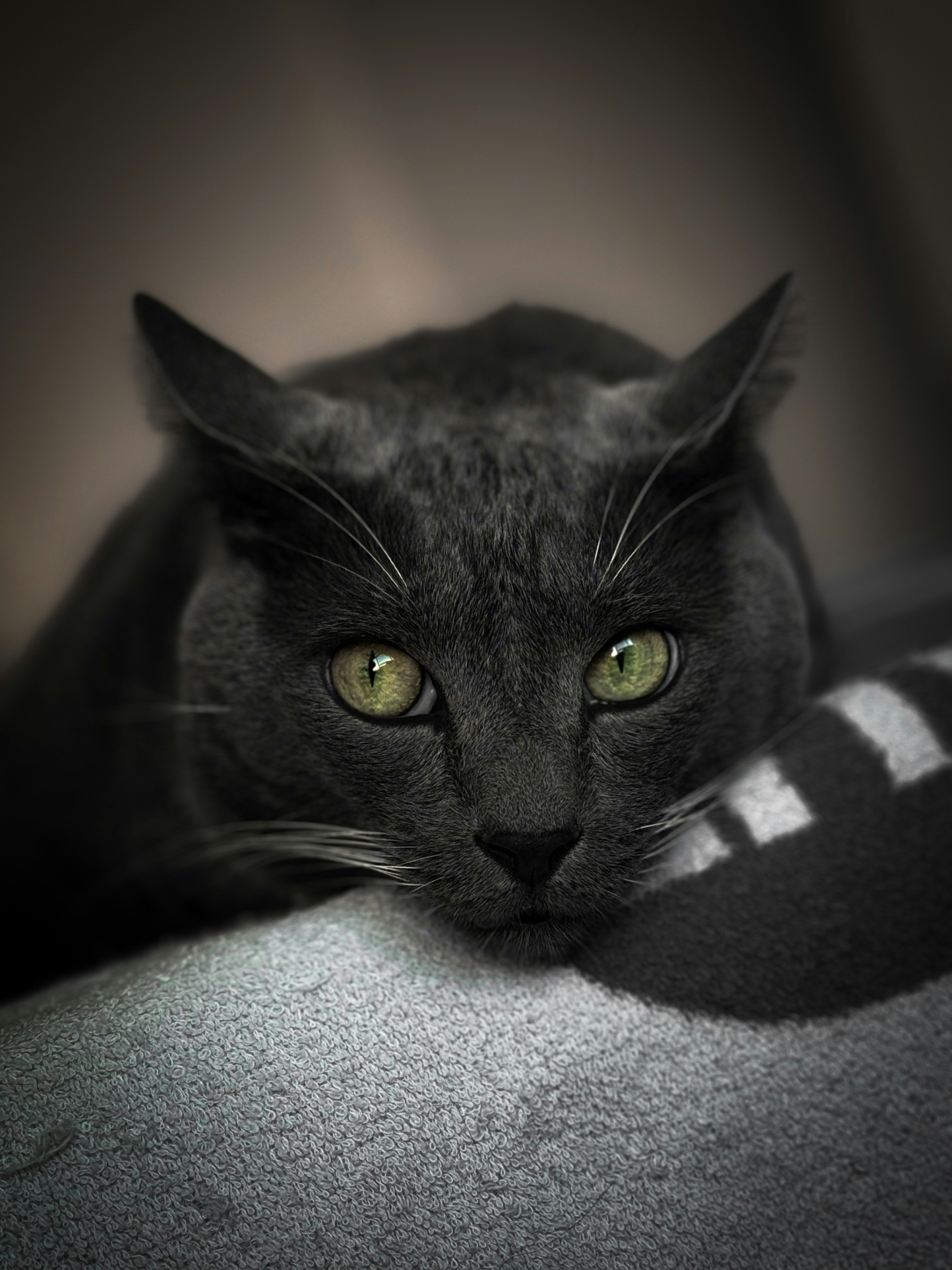 Photo by andreaminguezclaus