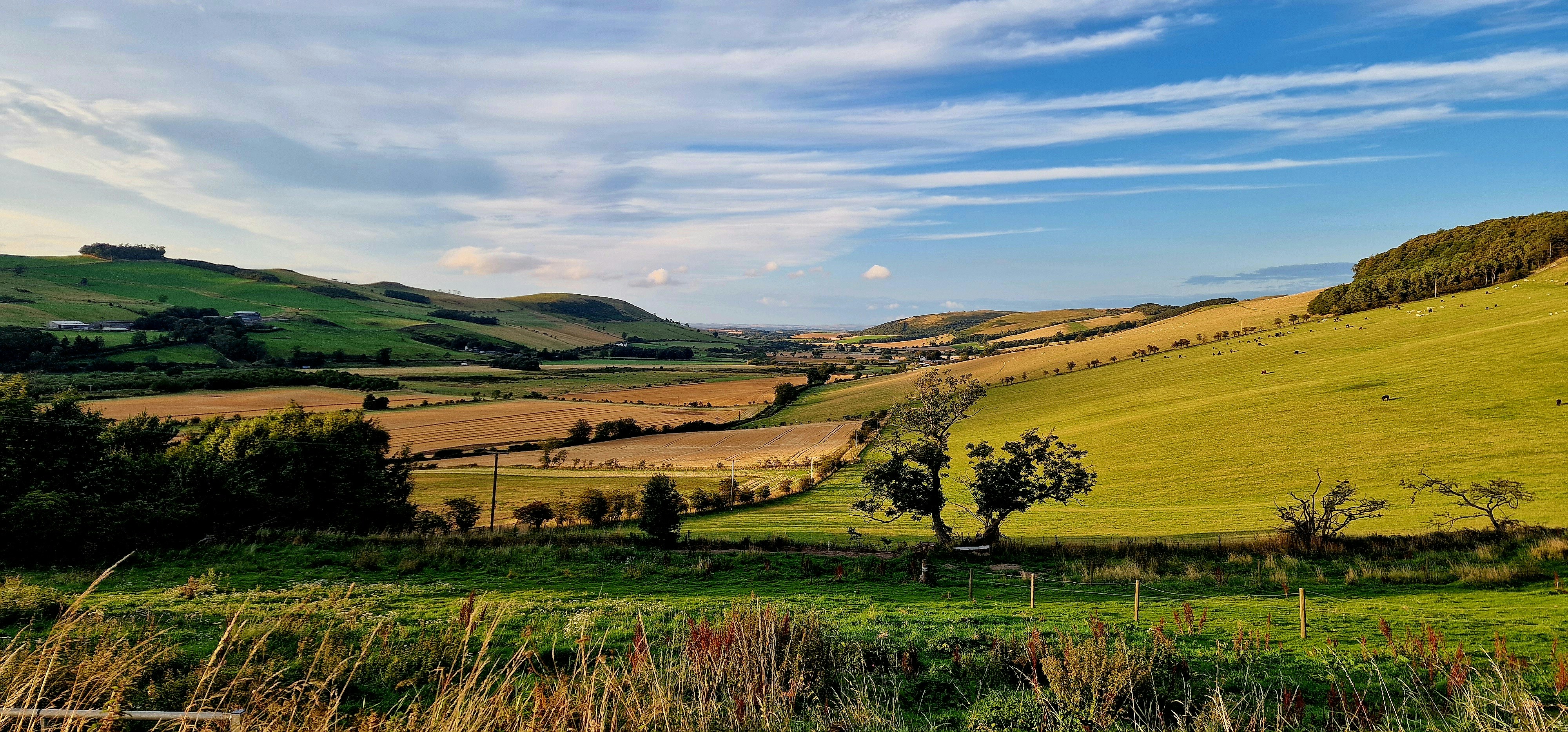 Photo by glimpsestudios