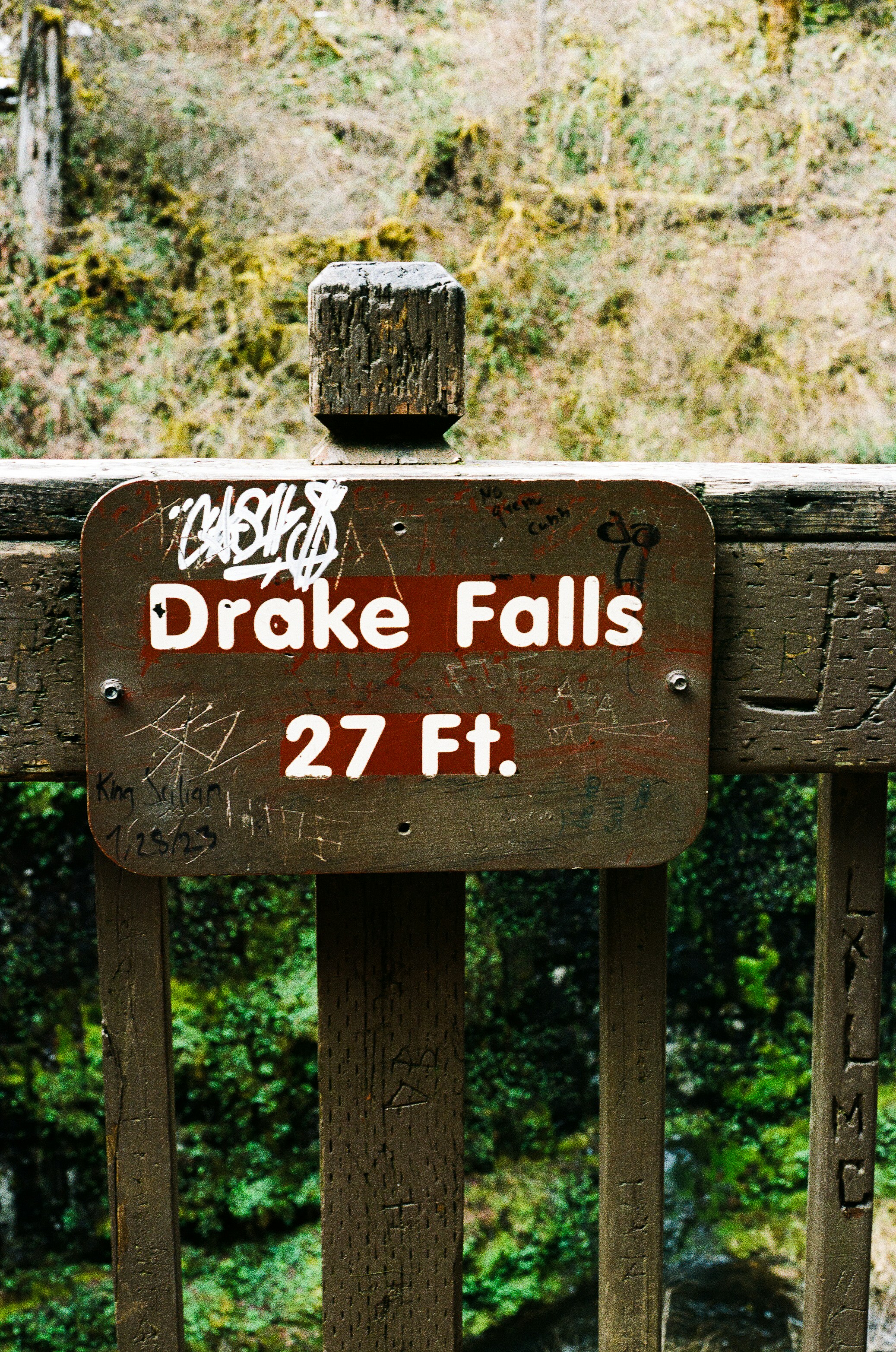 Remote Paradise on the Osa Peninsula