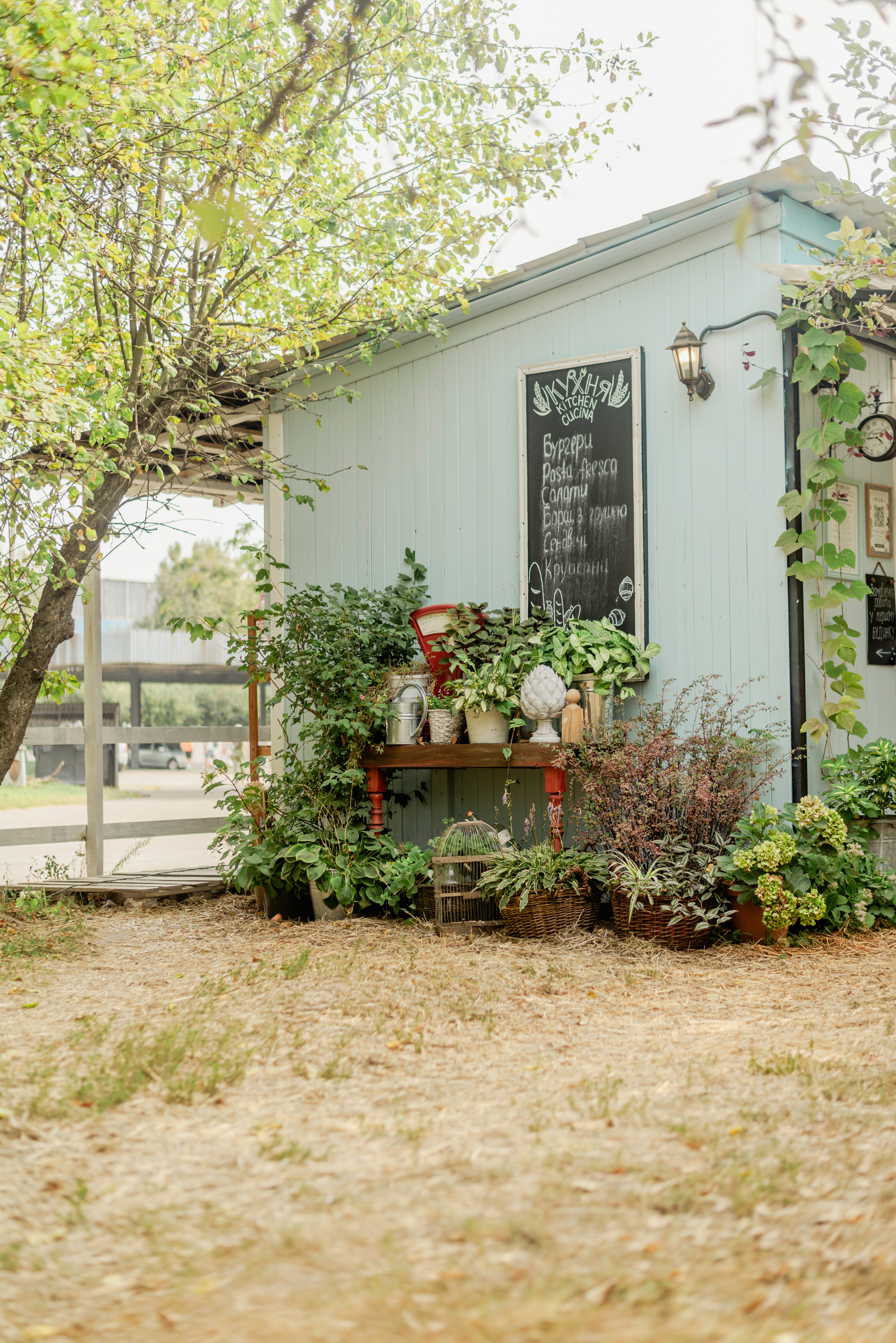 Photo by eugenivy_now