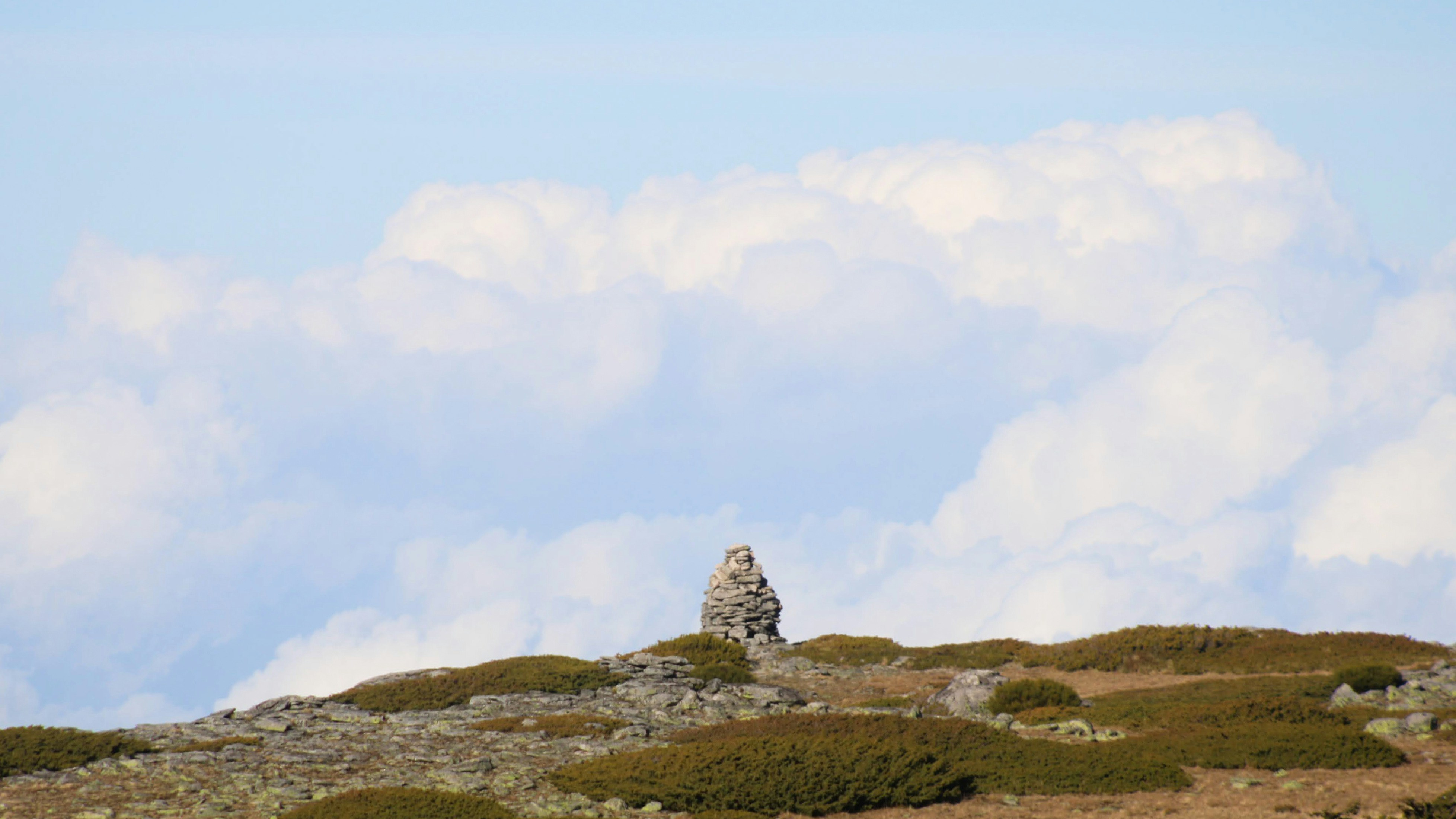 Photo by matheuscavaleiro