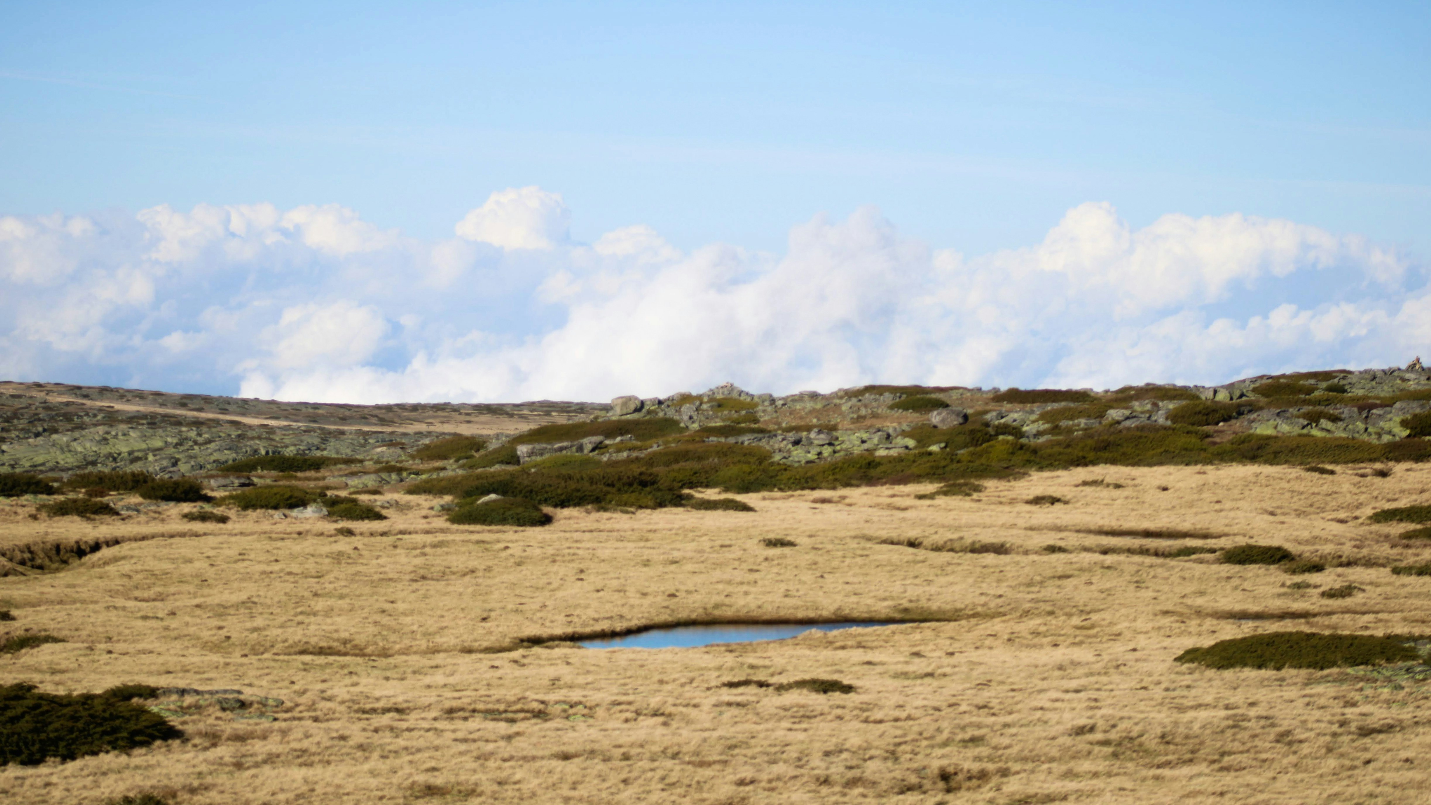 Photo by matheuscavaleiro