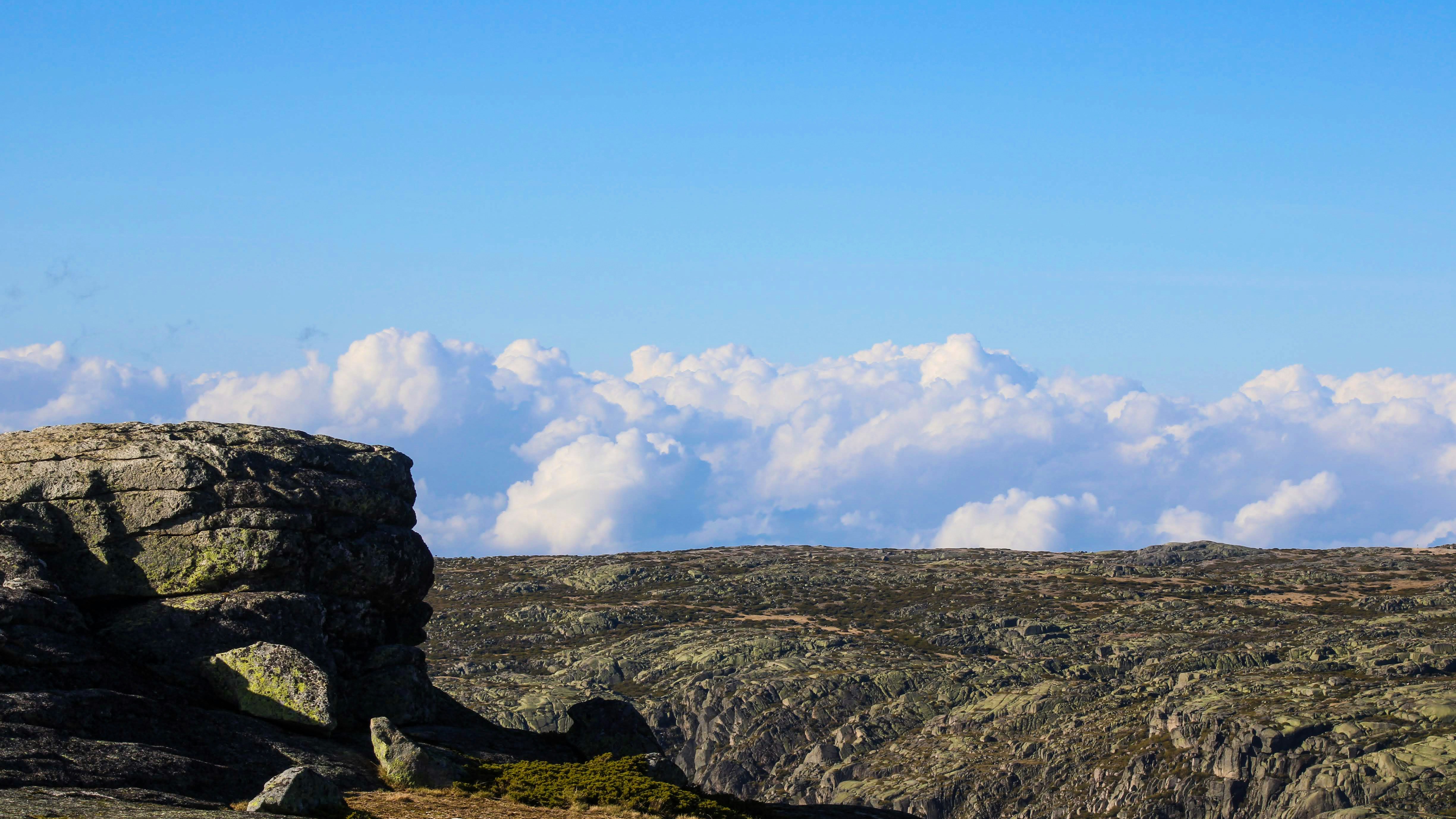 Photo by matheuscavaleiro