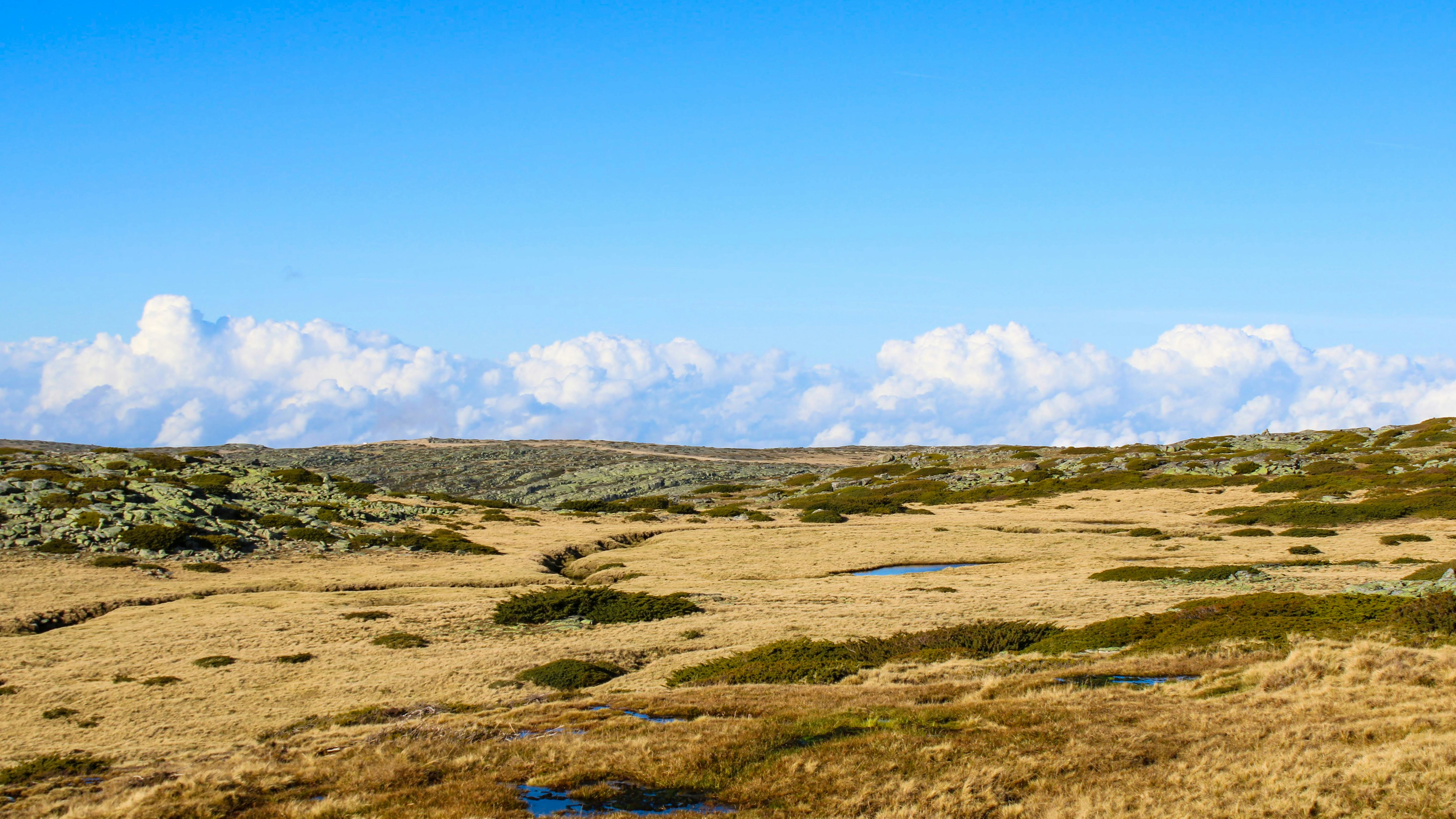 Photo by matheuscavaleiro