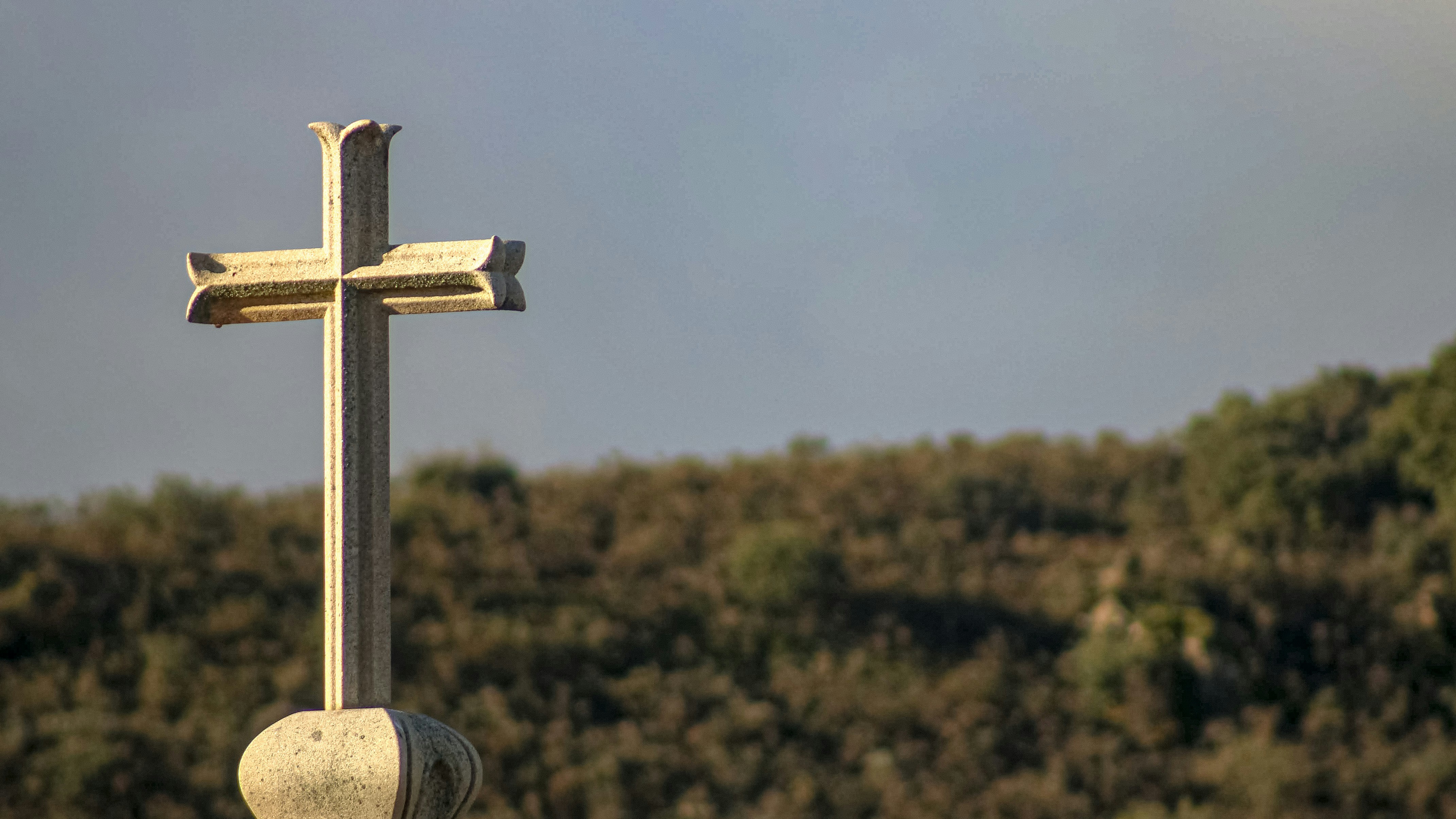 Photo by matheuscavaleiro