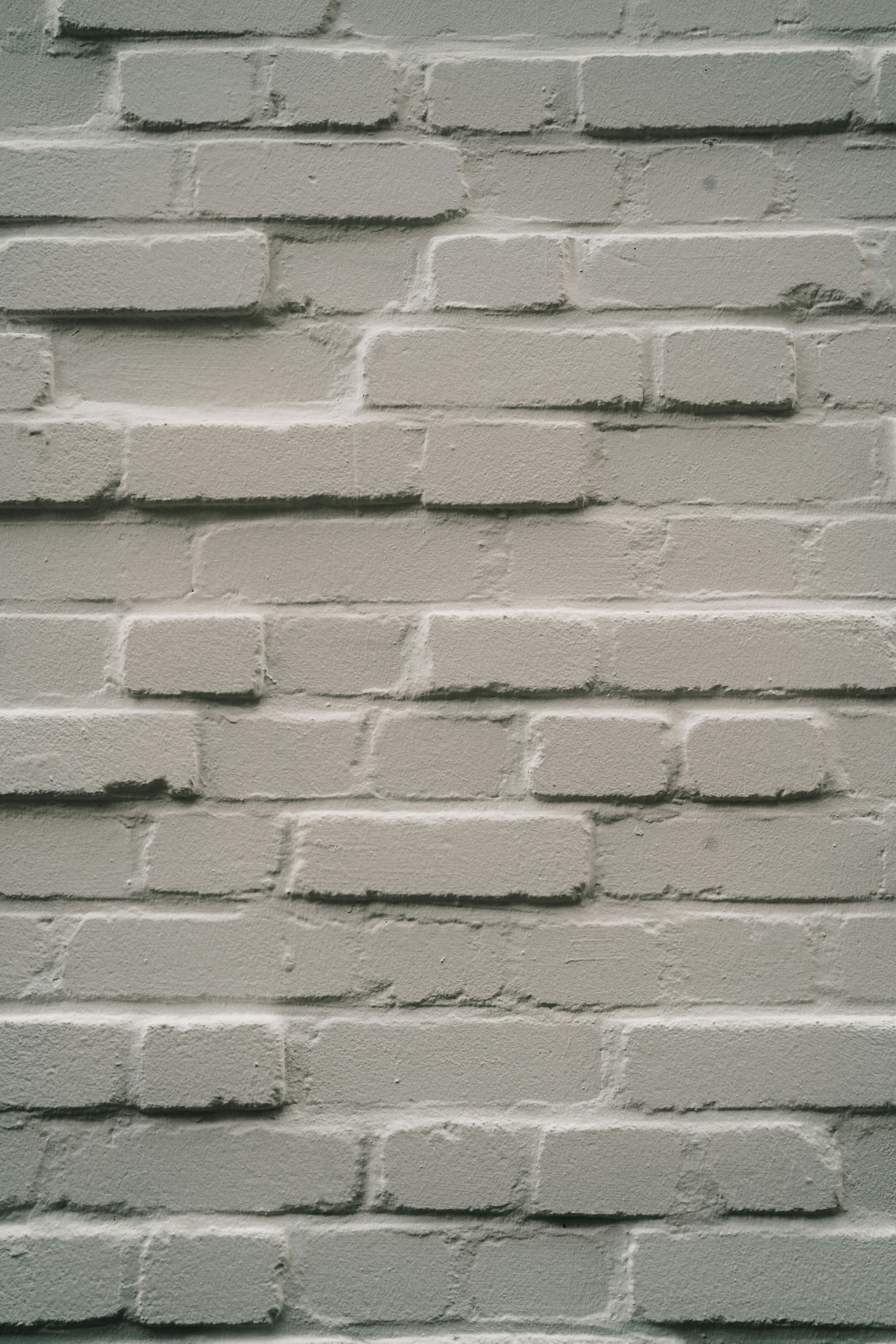 Photo by bangscreative