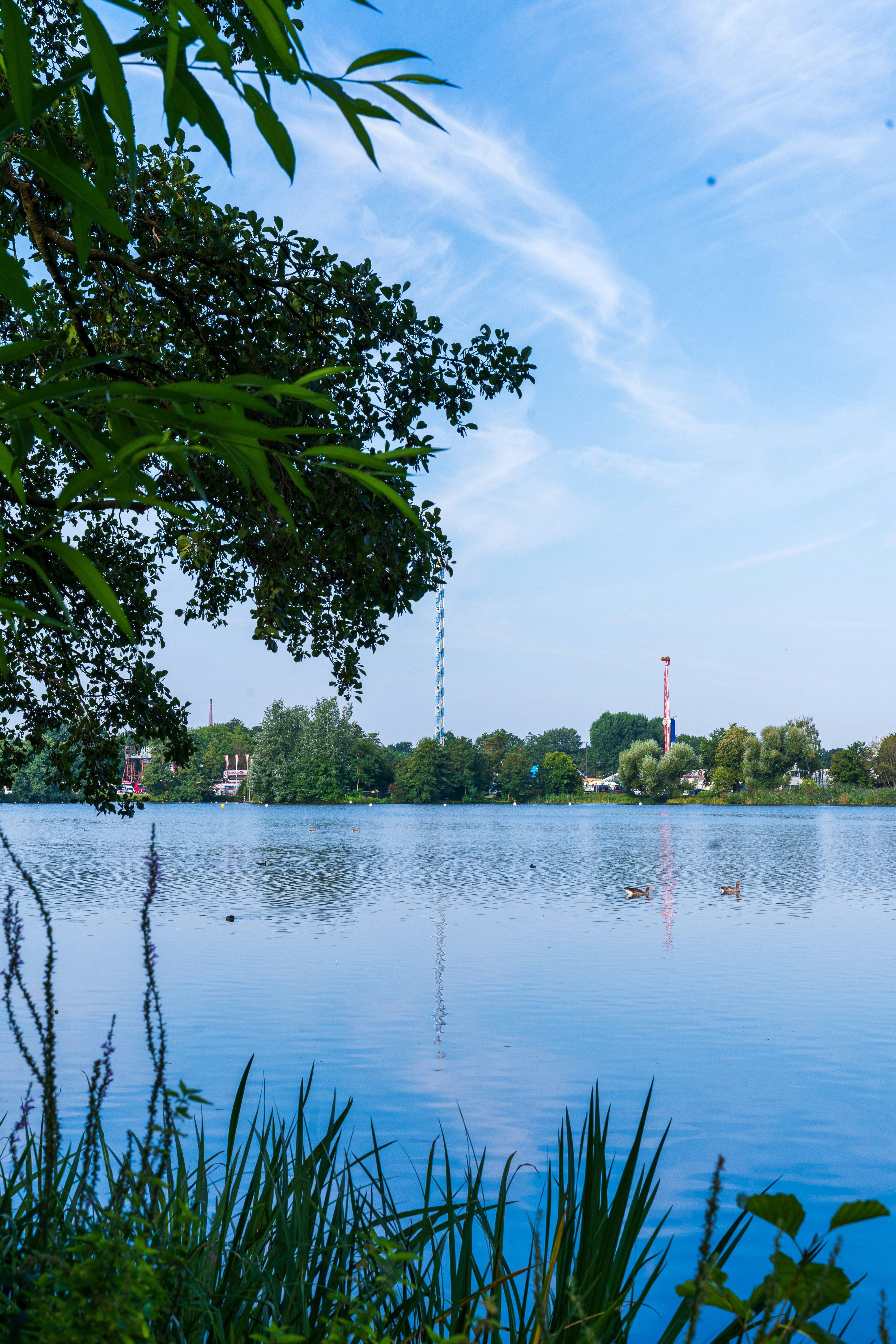 Photo by bangscreative