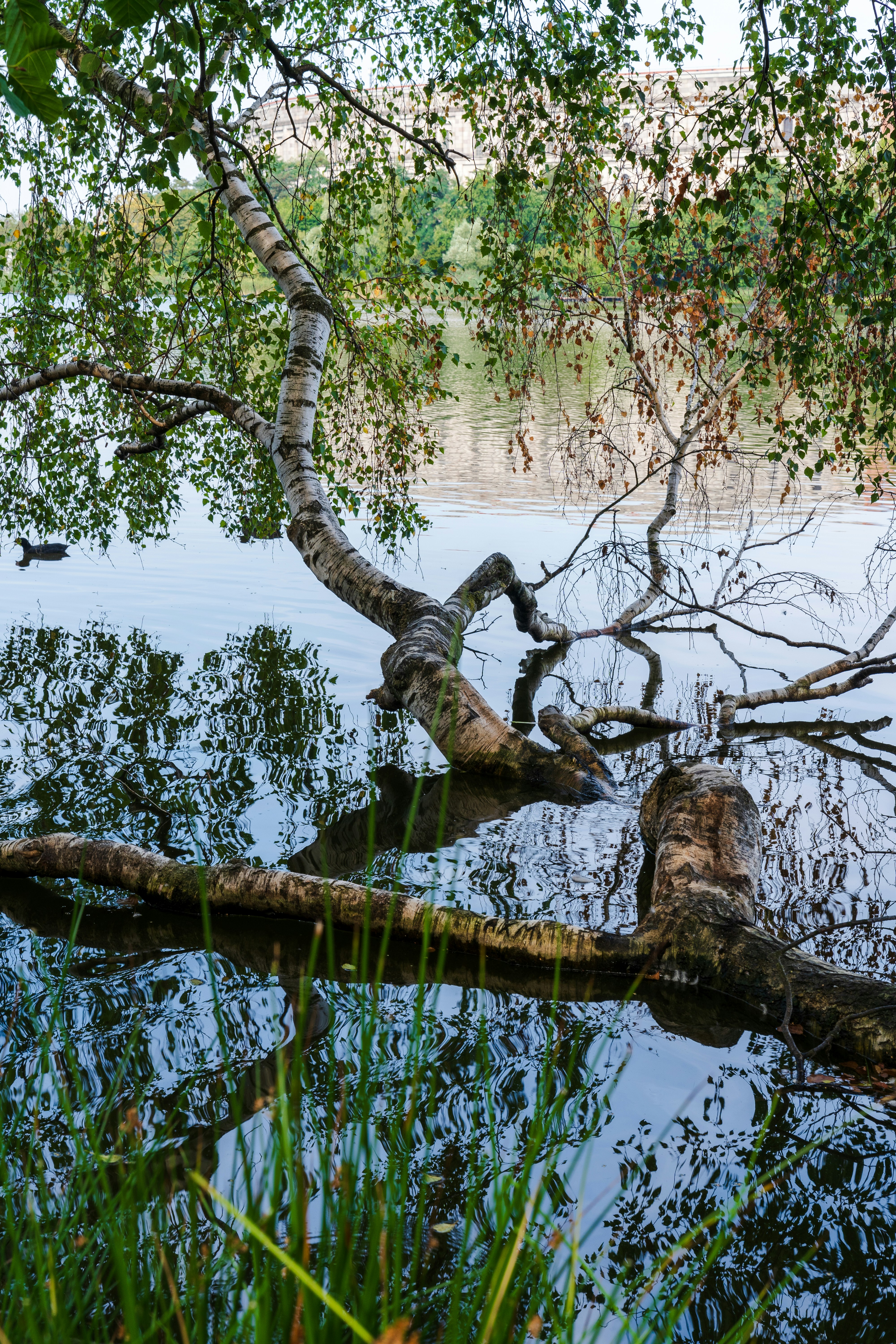 Photo by bangscreative